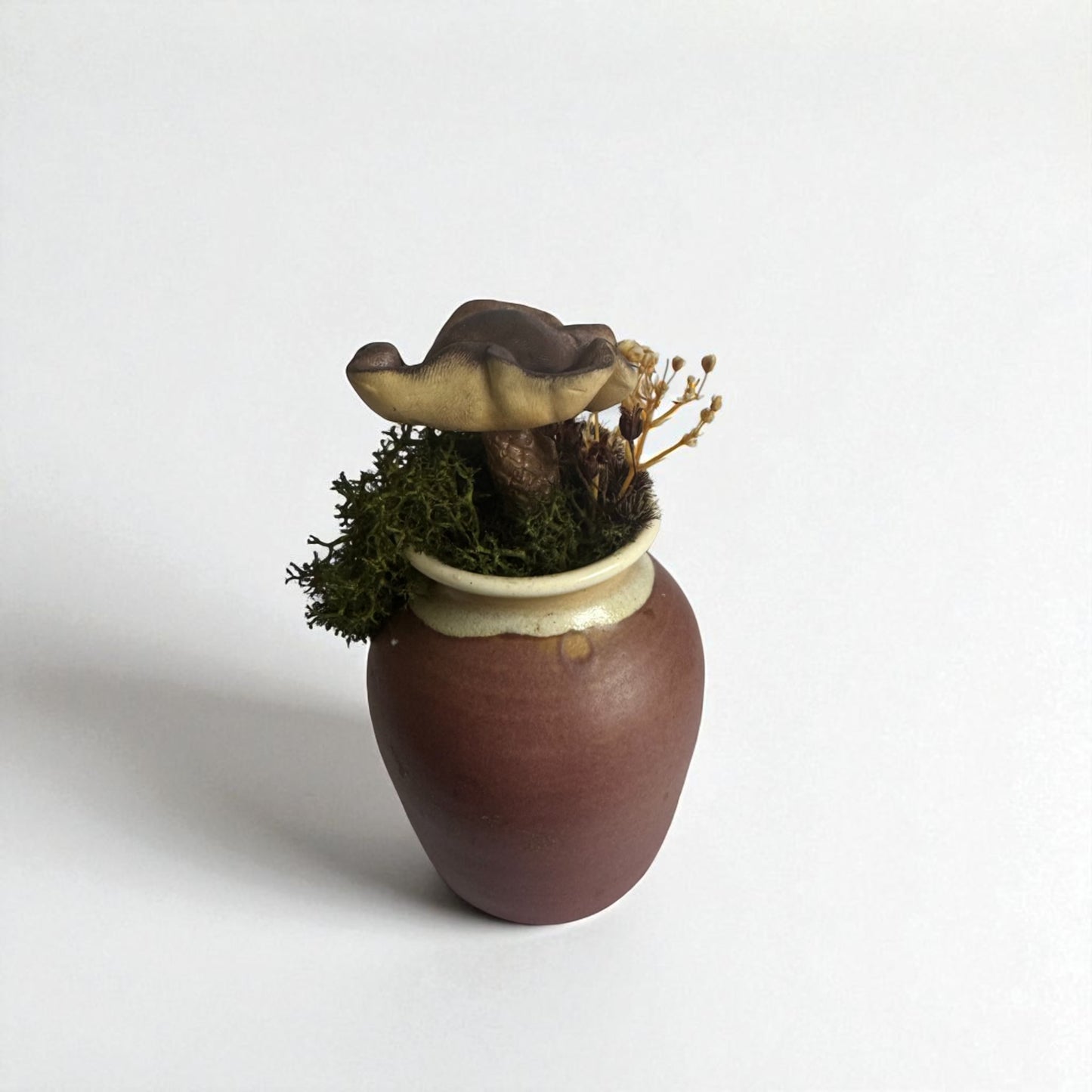 Single Shroom Pot