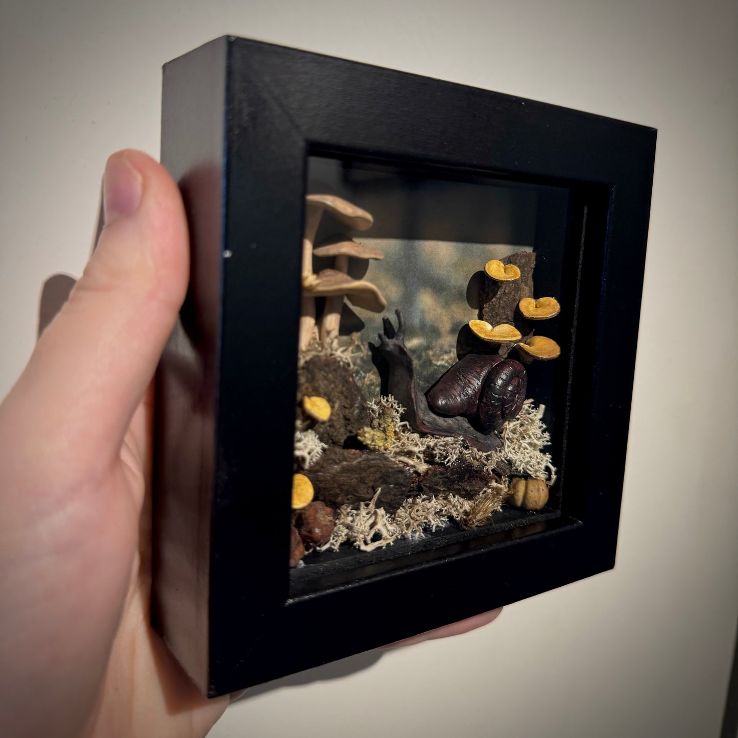 Snail & Shroom Box