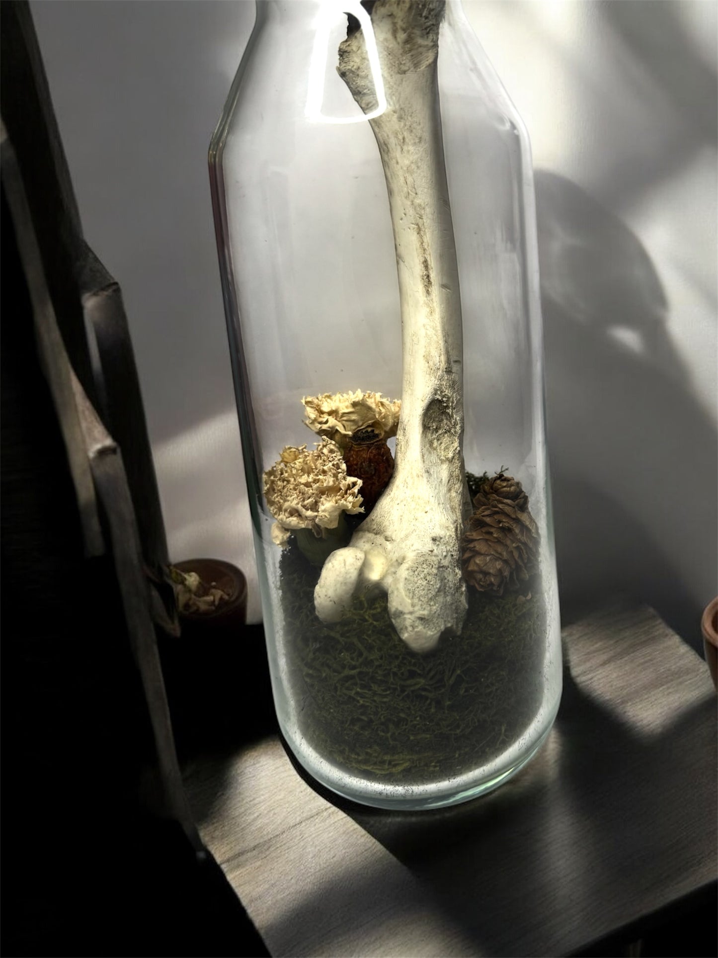 Bone Bottles