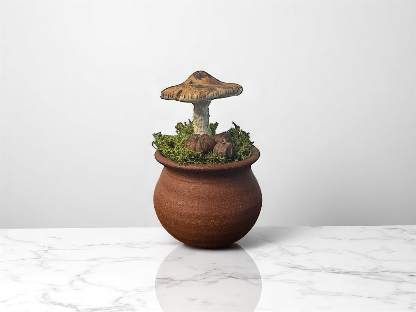 Round Shroom Pots