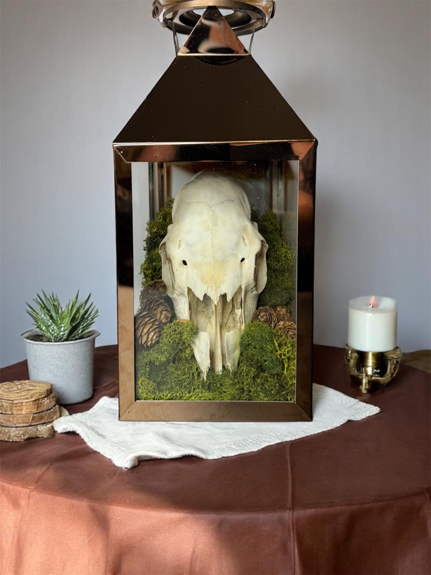 Copper Sheep Skull Lantern