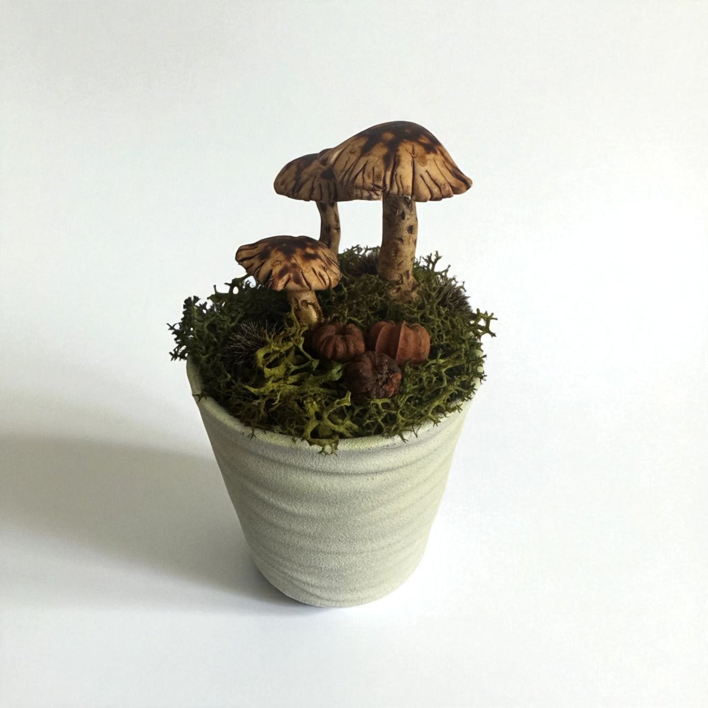 Three Shroom Pot