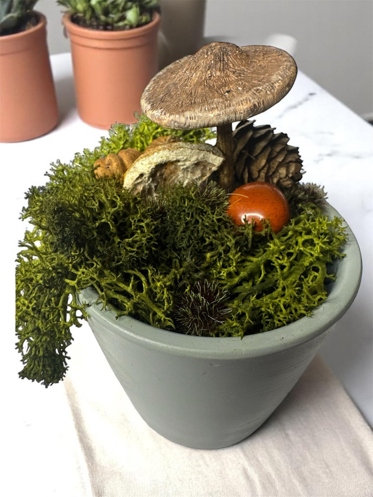 Textured Top Shroom Pot