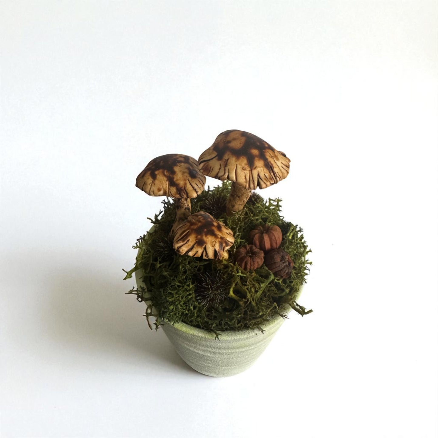 Three Shroom Pot