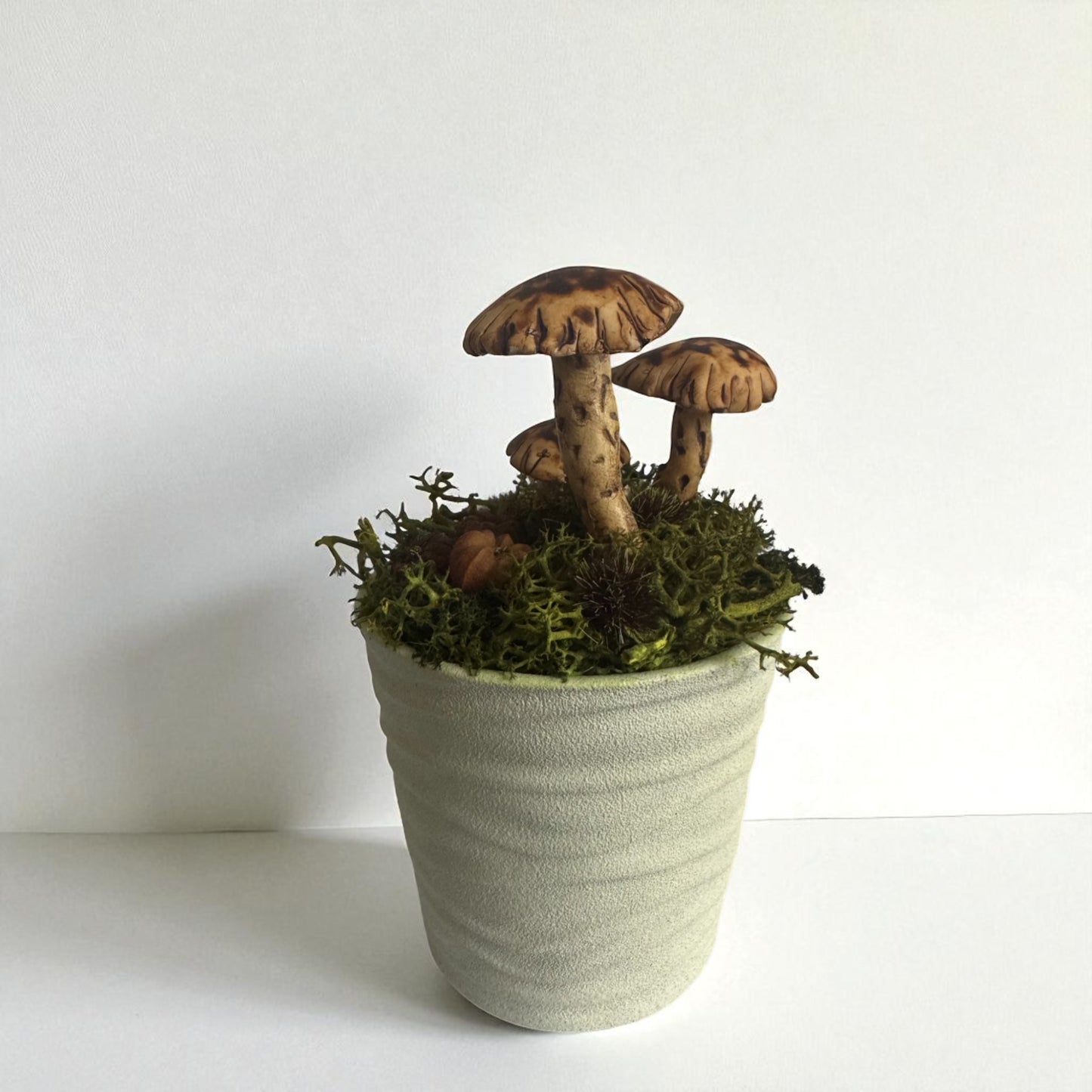 Three Shroom Pot
