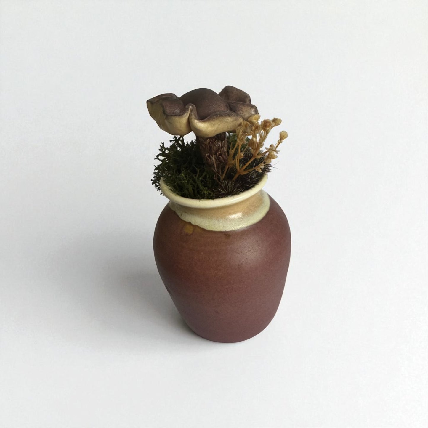 Single Shroom Pot