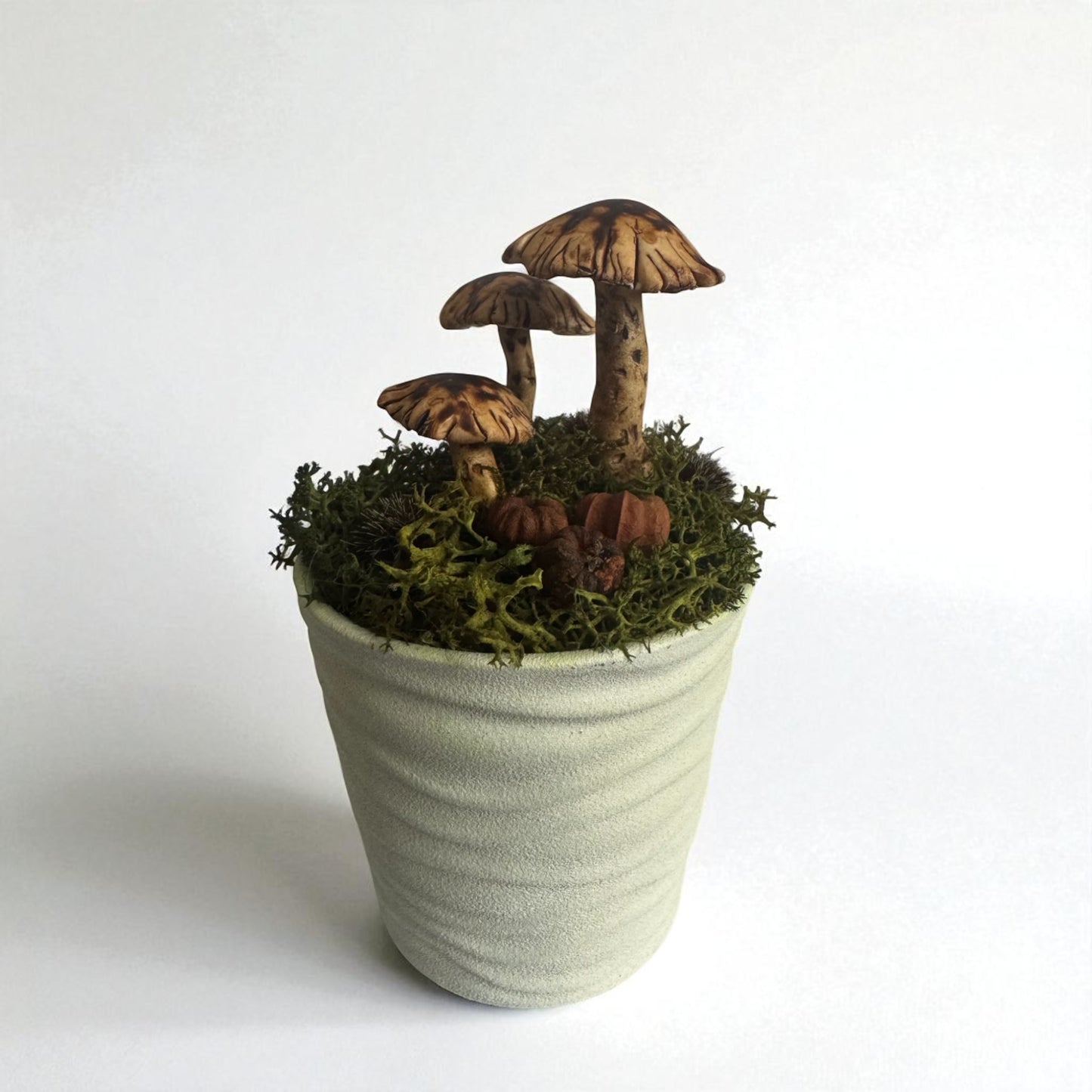 Three Shroom Pot