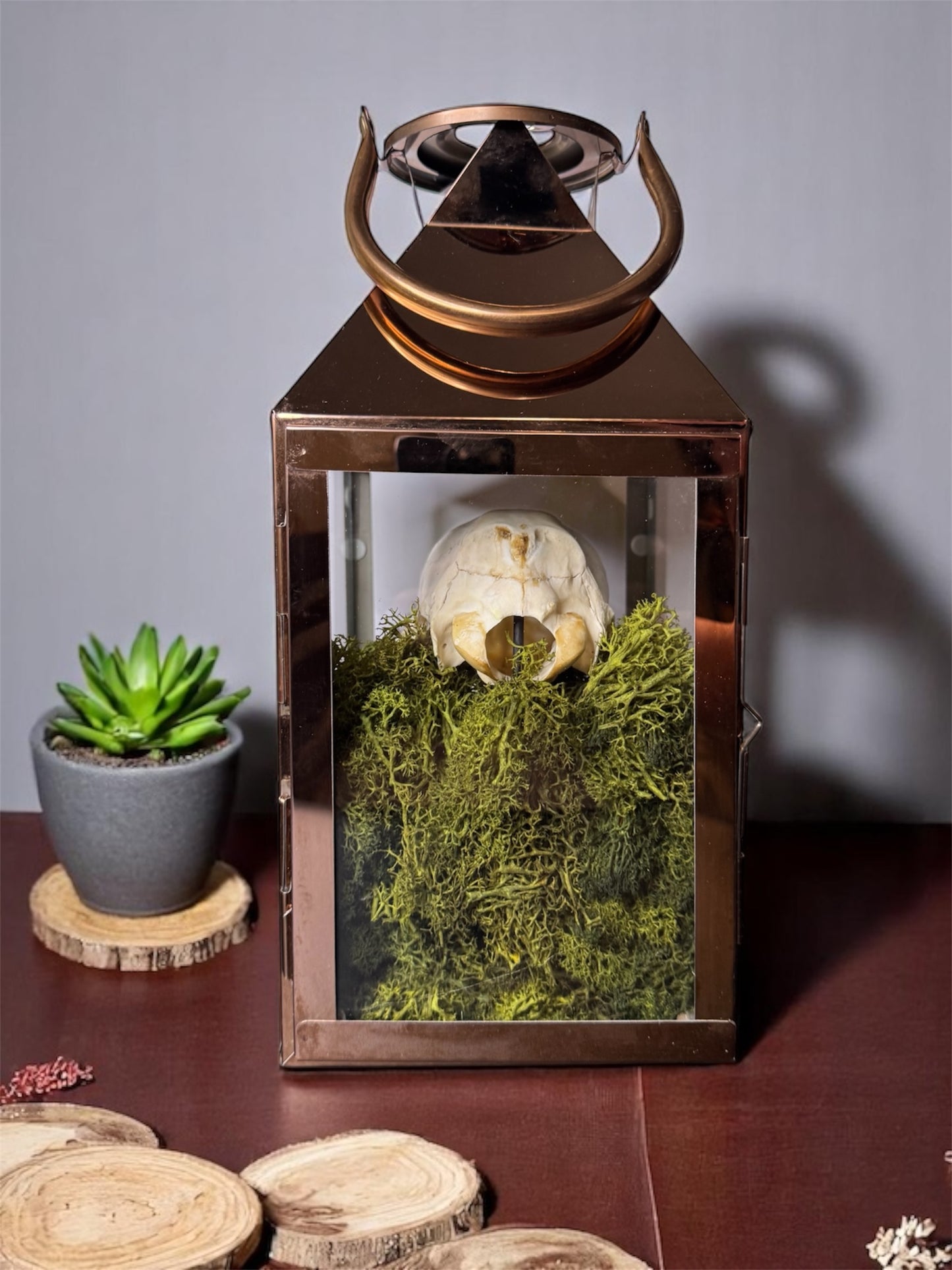 Copper Sheep Skull Lantern