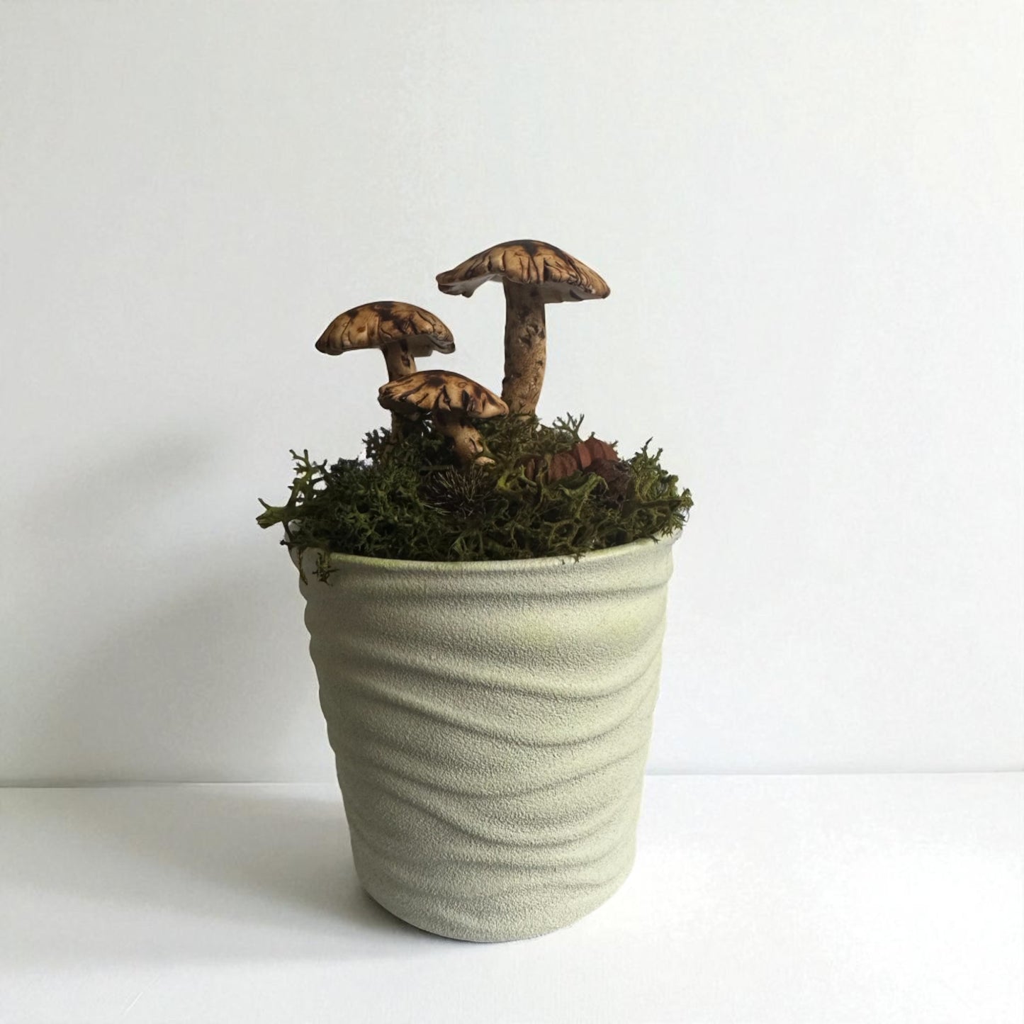 Three Shroom Pot