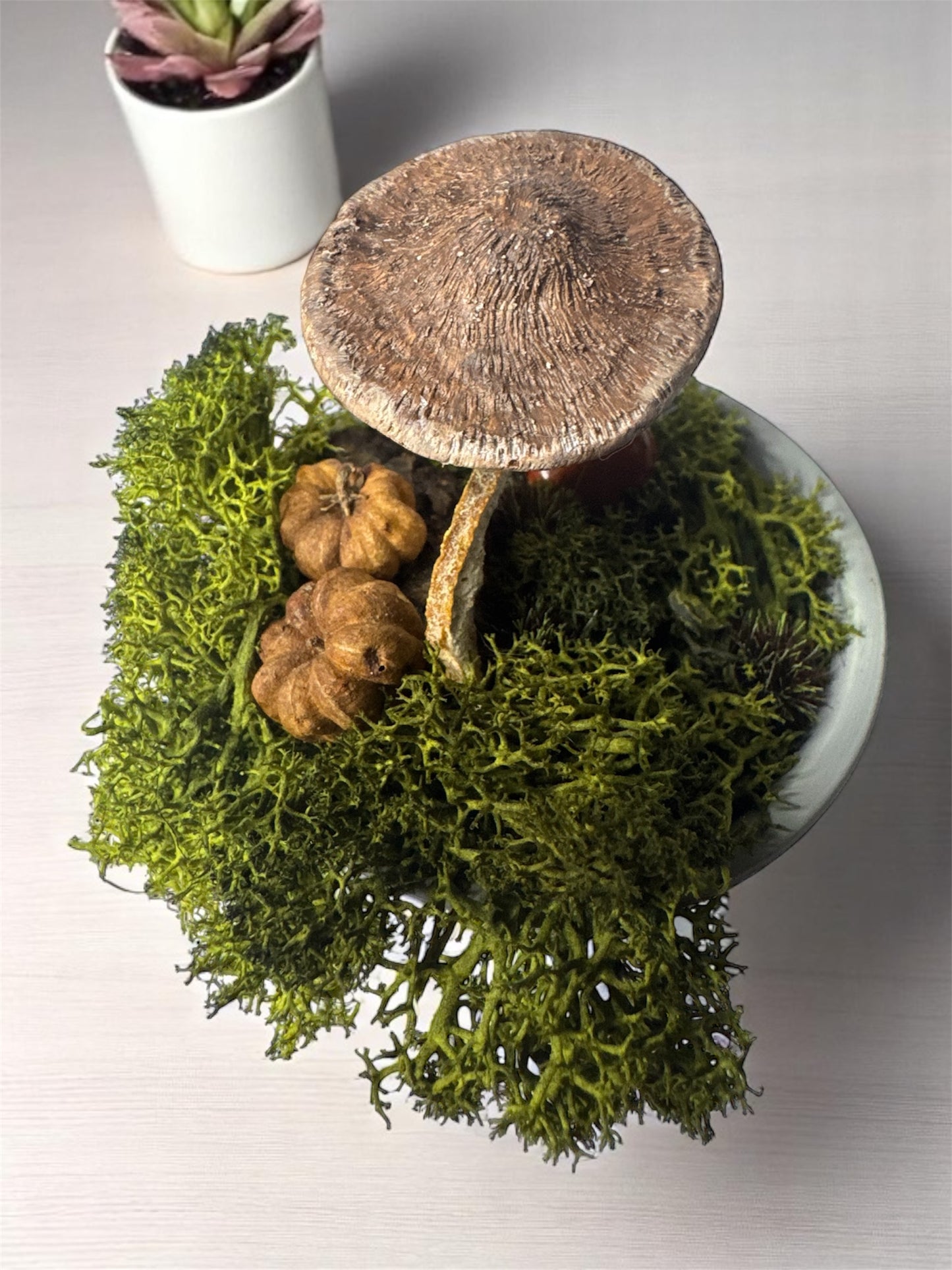 Textured Top Shroom Pot