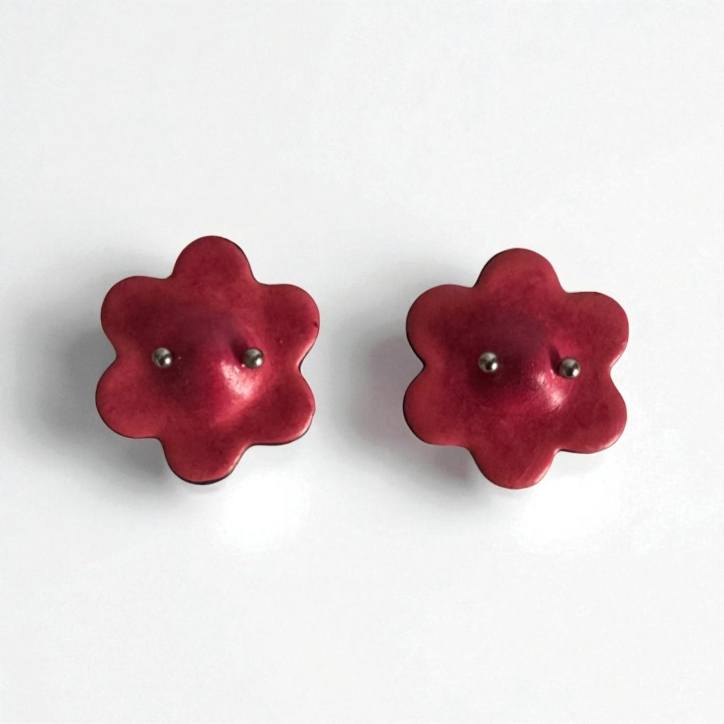 Pierced Nipple Magnets (pair)