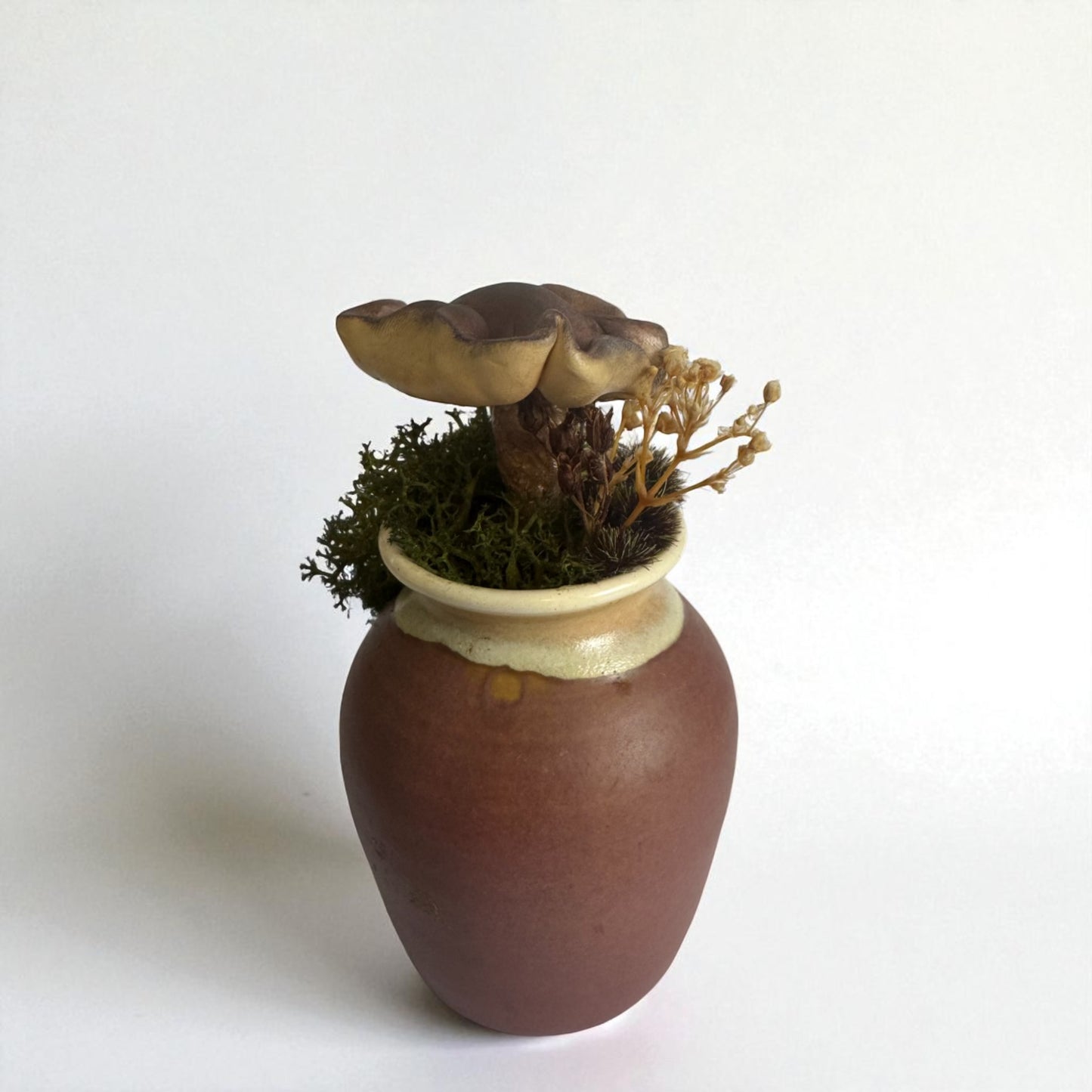 Single Shroom Pot