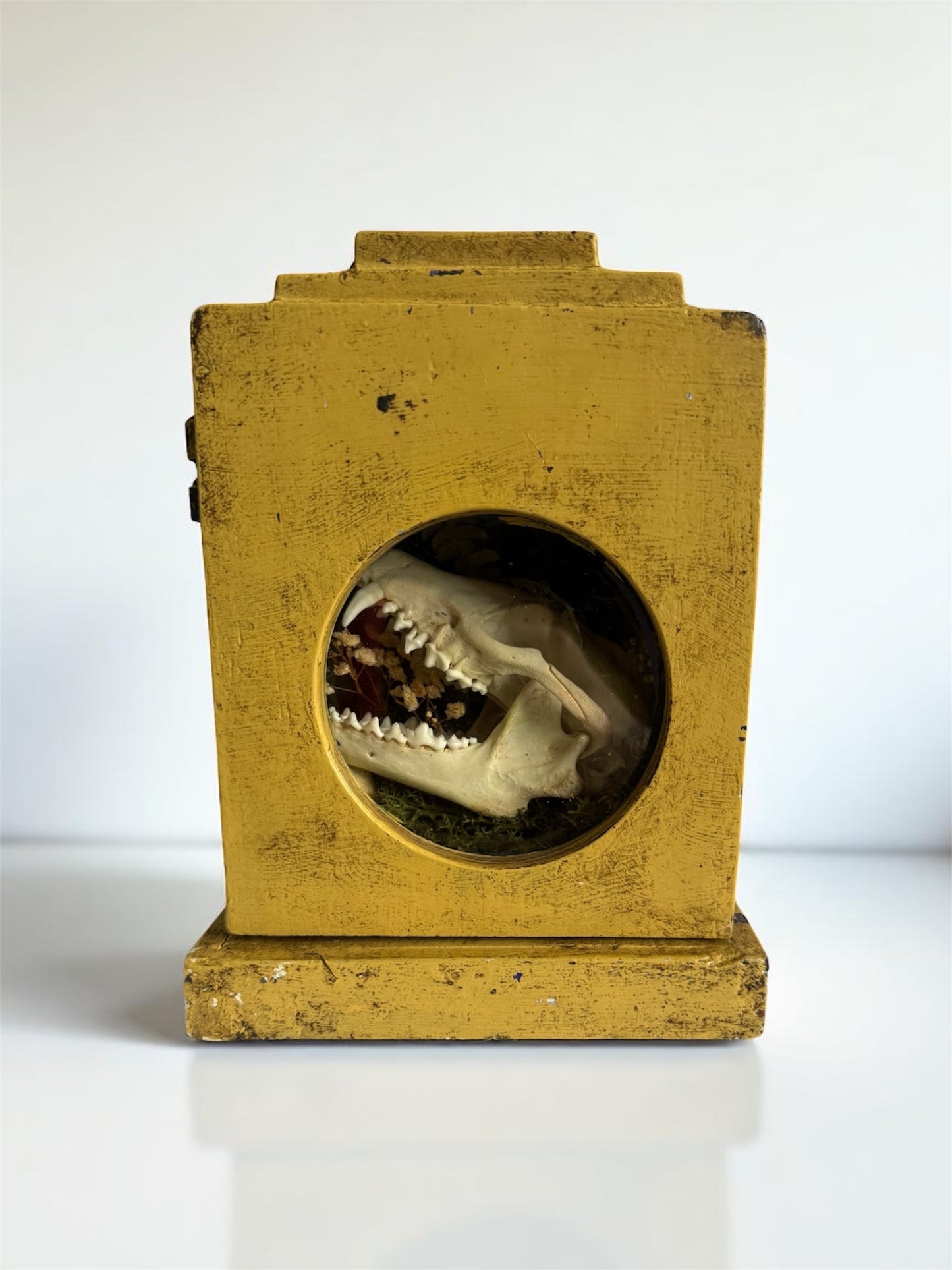 Antique Clock Case - Hidden World