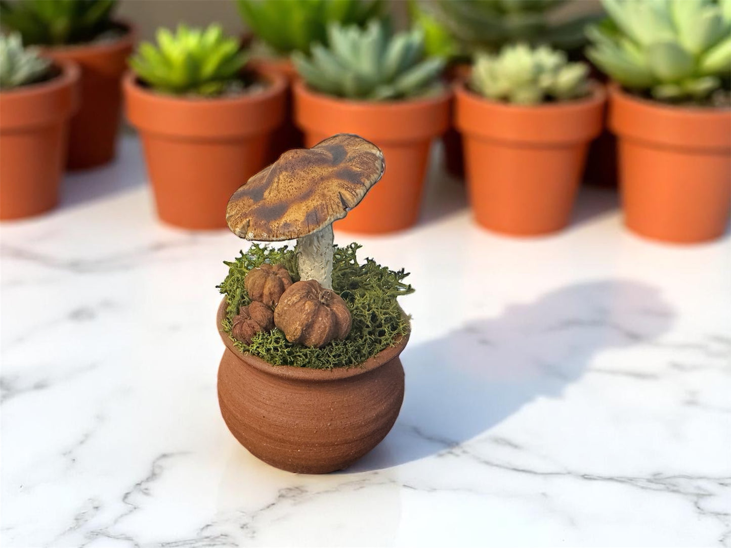 Round Shroom Pots