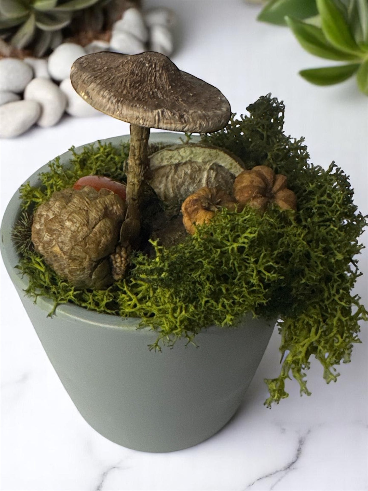Textured Top Shroom Pot