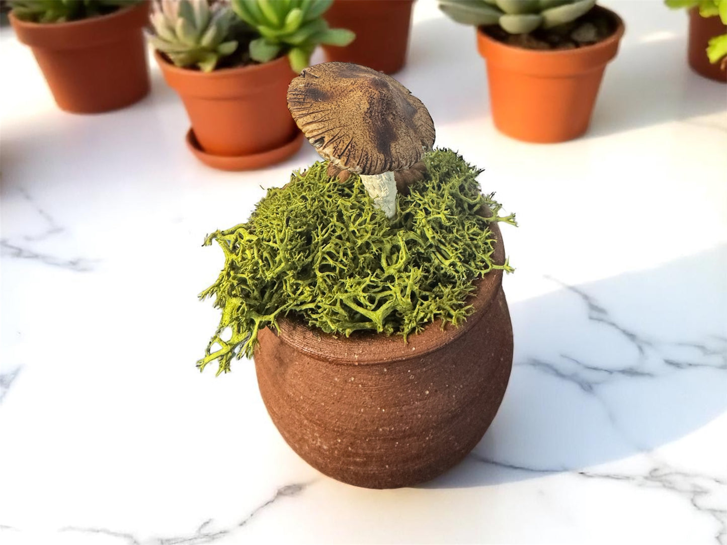 Round Shroom Pots