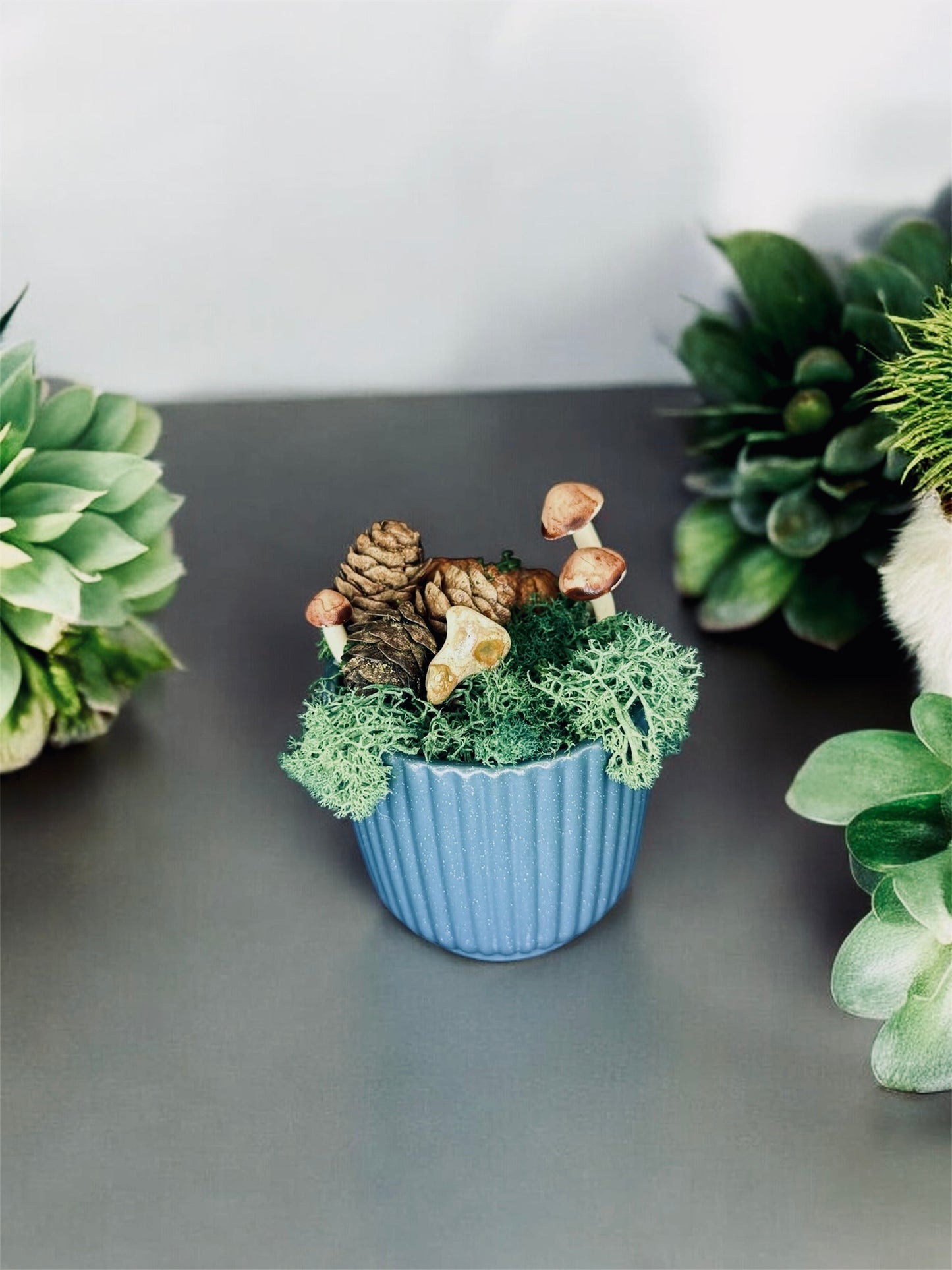 Skull Rock Pot