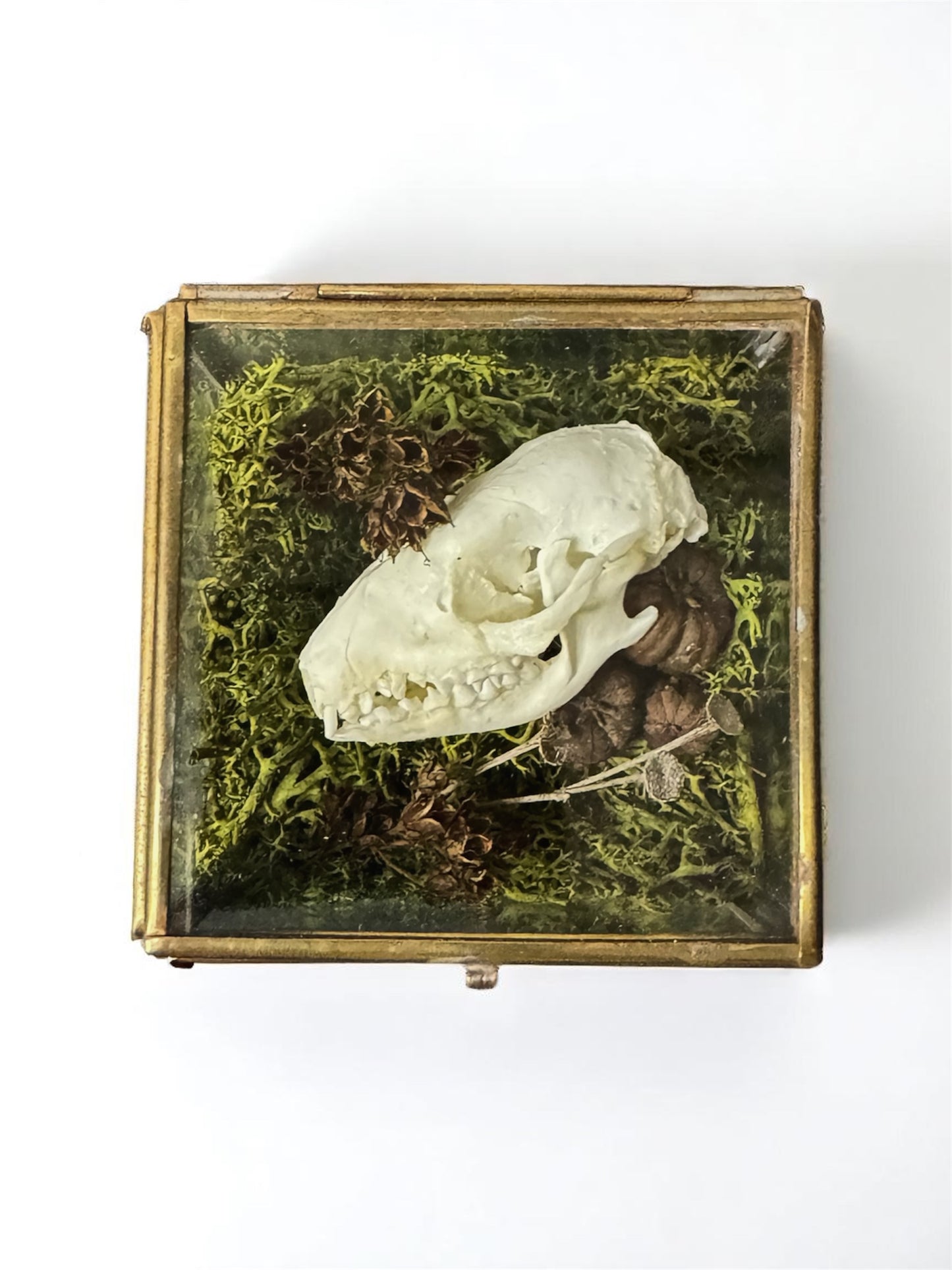 Vintage Glass Trinket Boxes