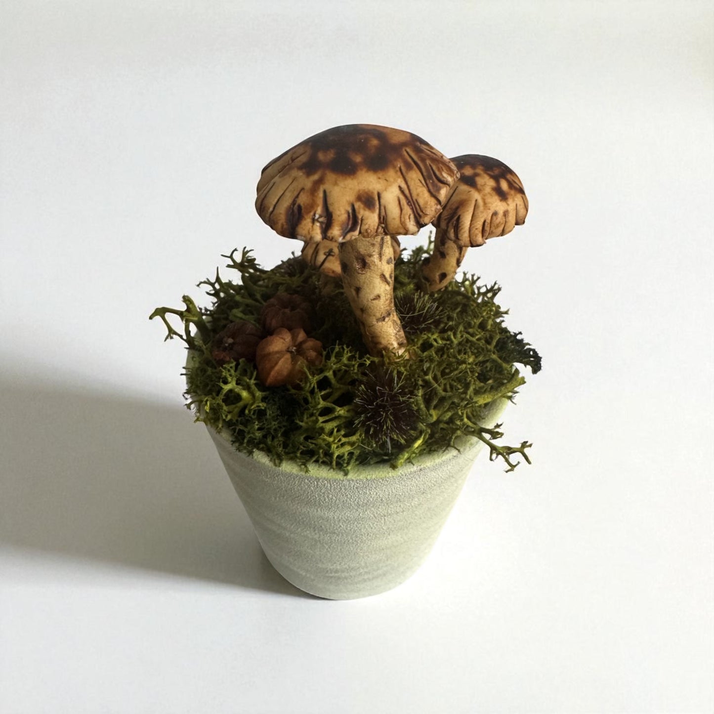 Three Shroom Pot