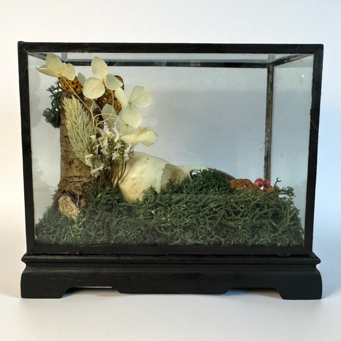 Vintage Wood & Glass Display Cases