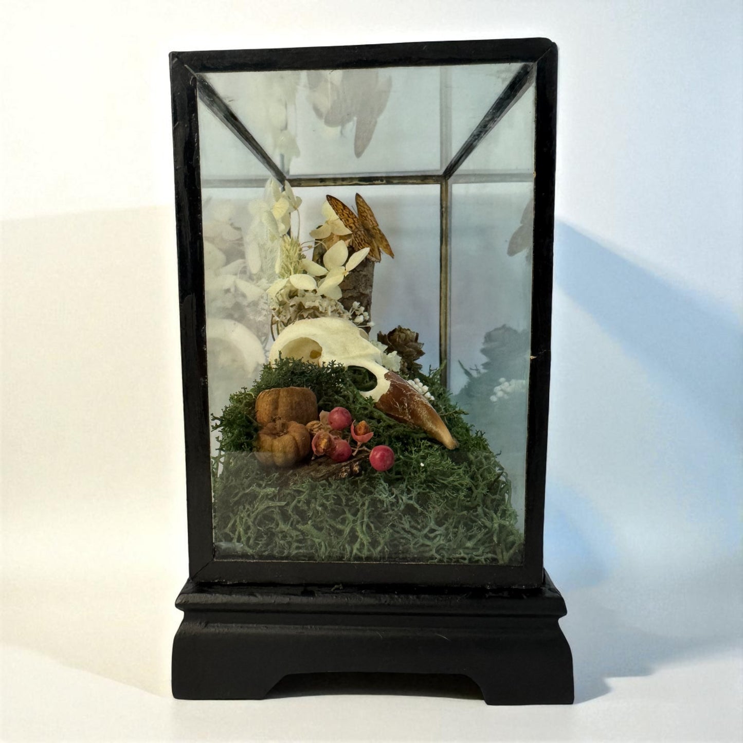 Vintage Wood & Glass Display Cases