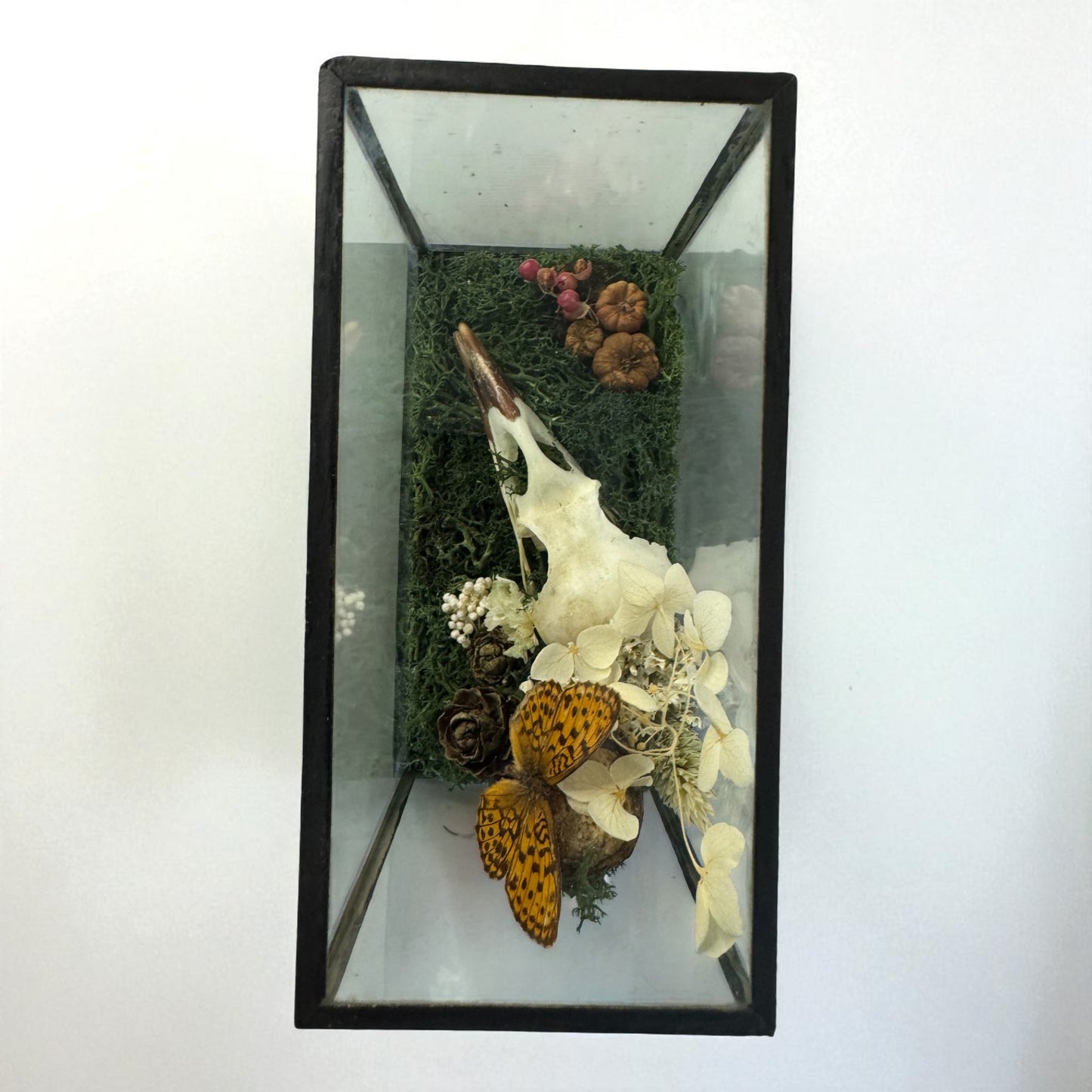 Vintage Wood & Glass Display Cases