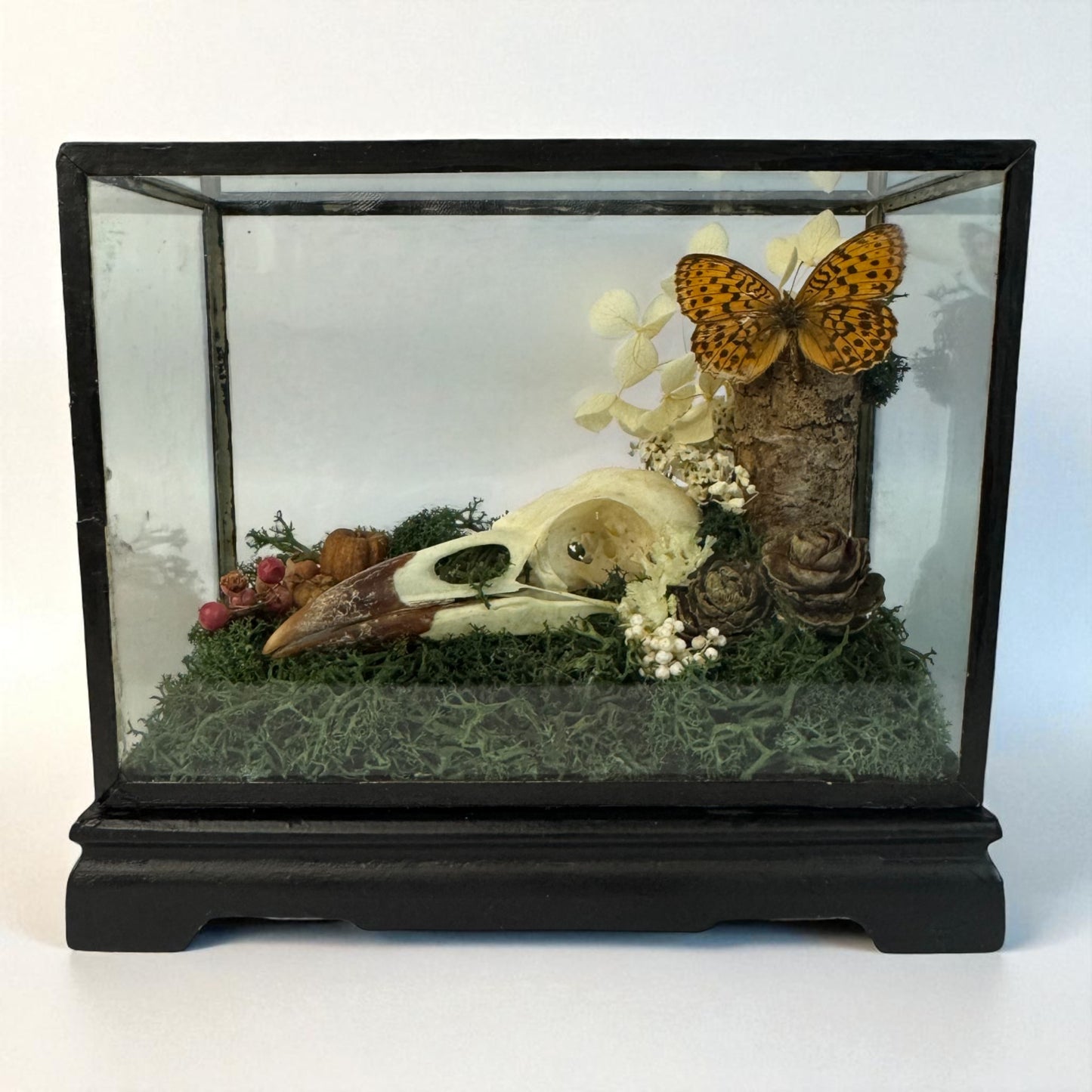 Vintage Wood & Glass Display Cases