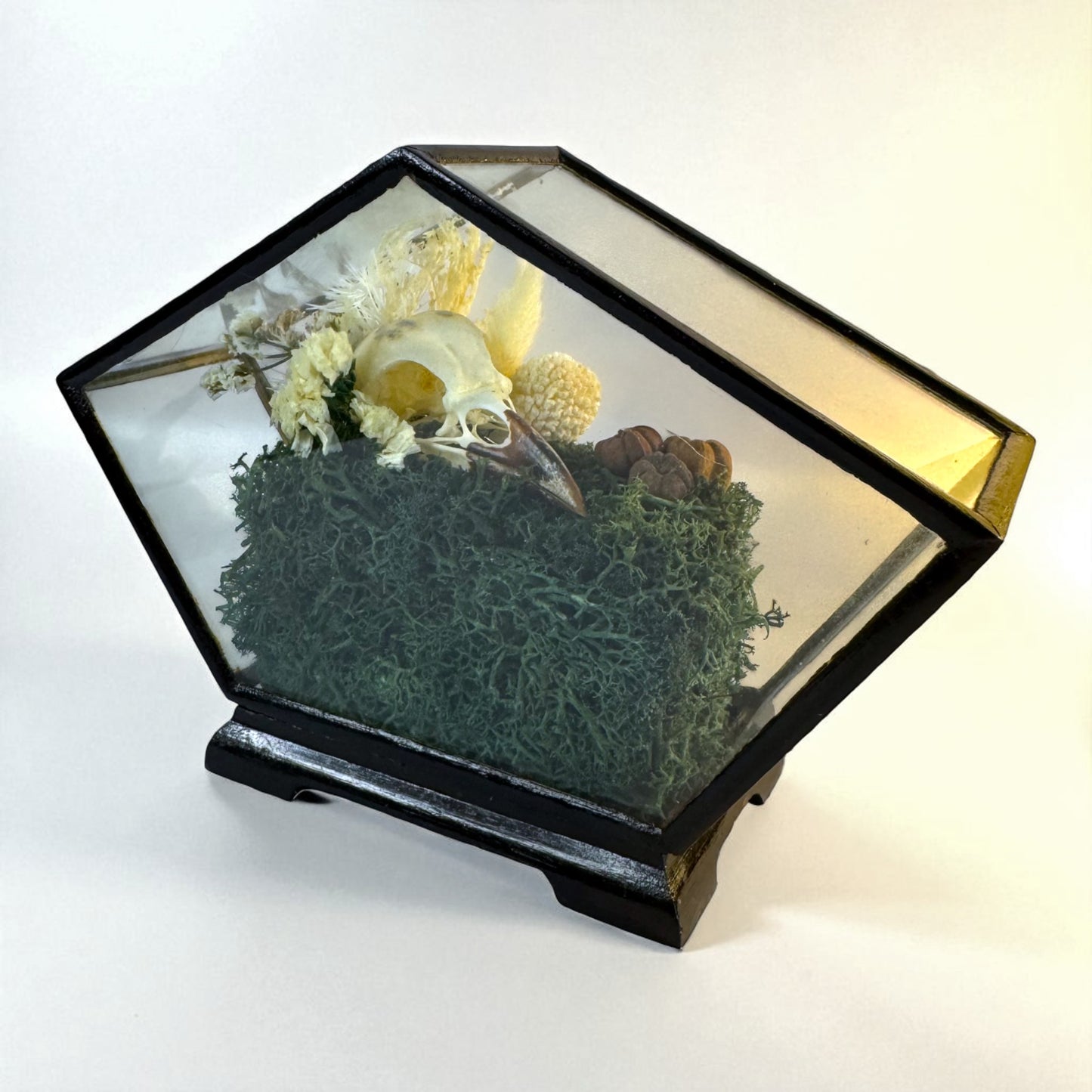 Vintage Wood & Glass Display Cases