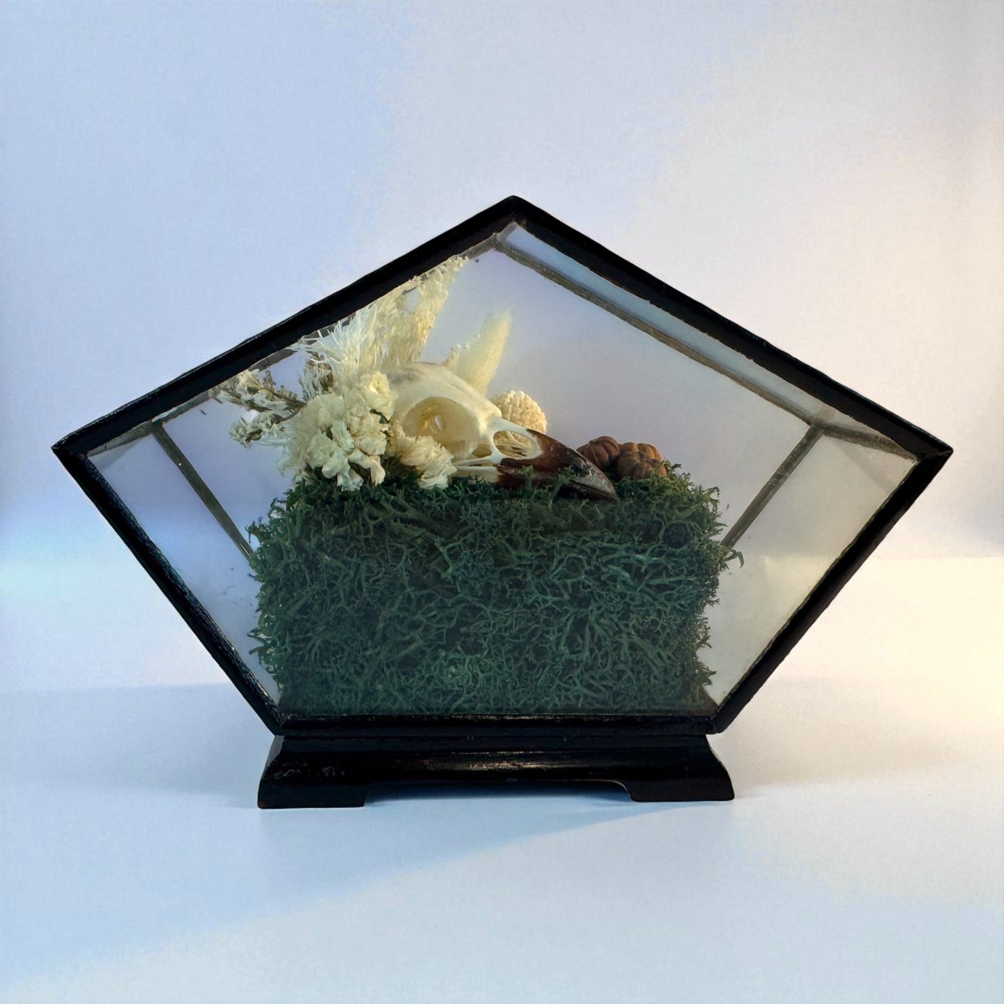 Vintage Wood & Glass Display Cases