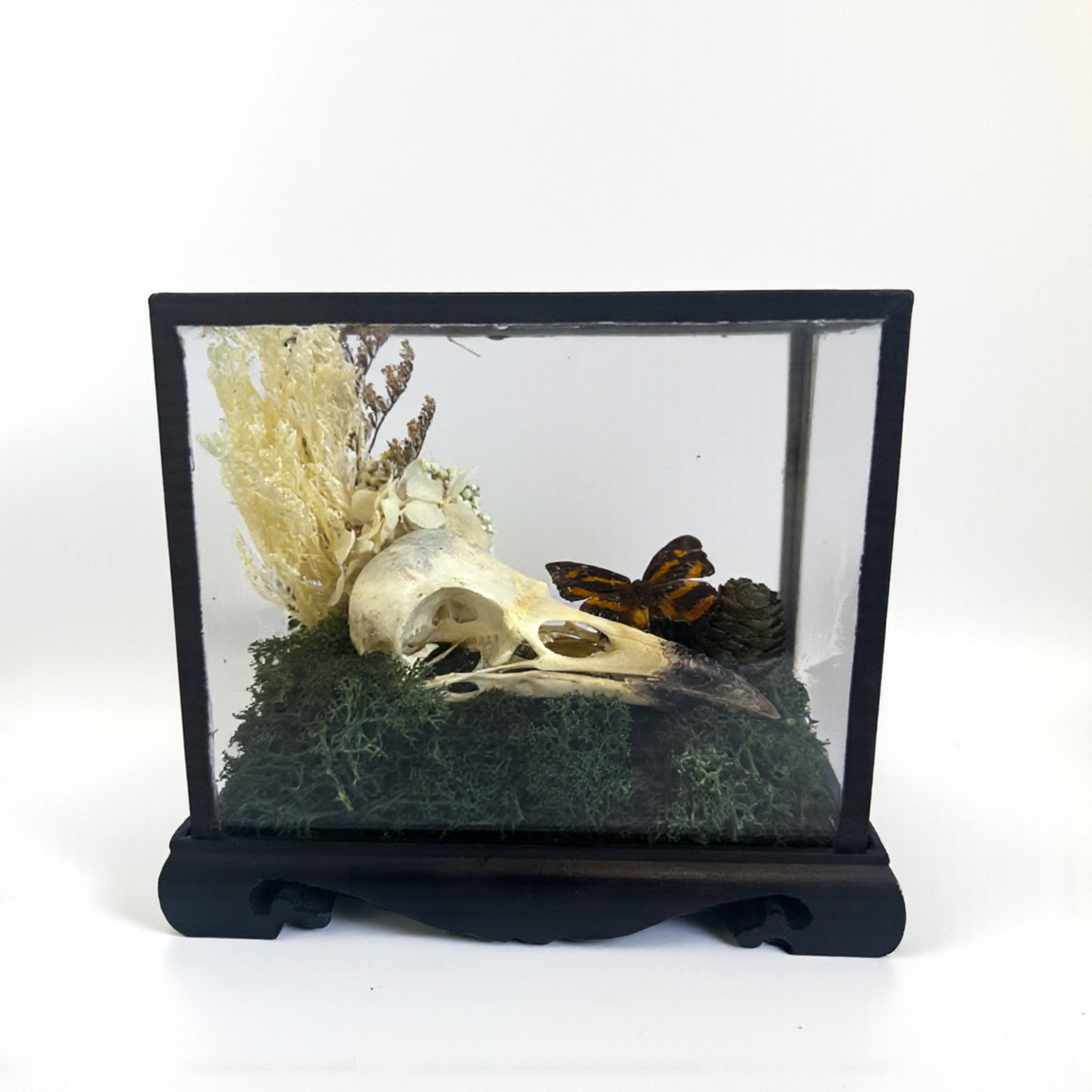 Vintage Wood & Glass Display Cases