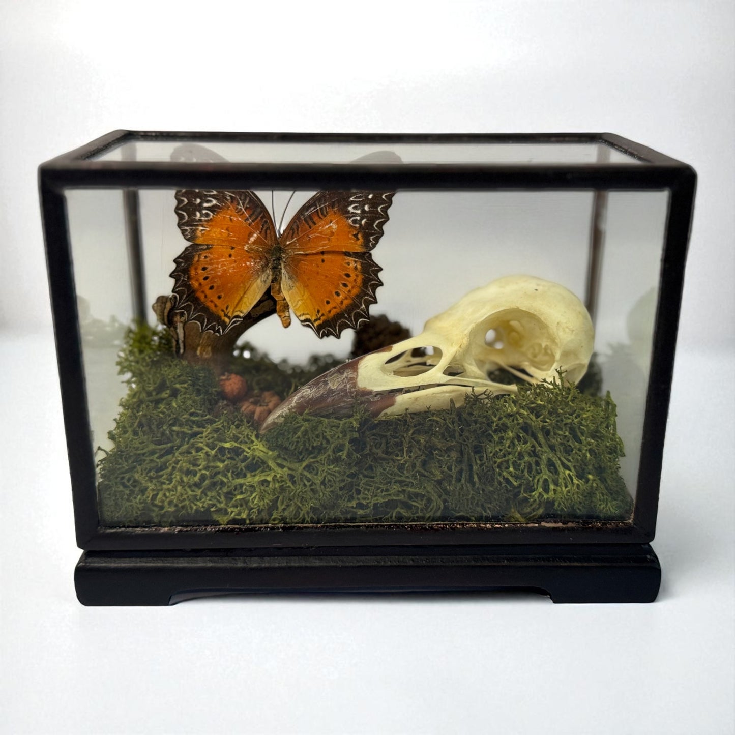 Vintage Wood & Glass Display Cases