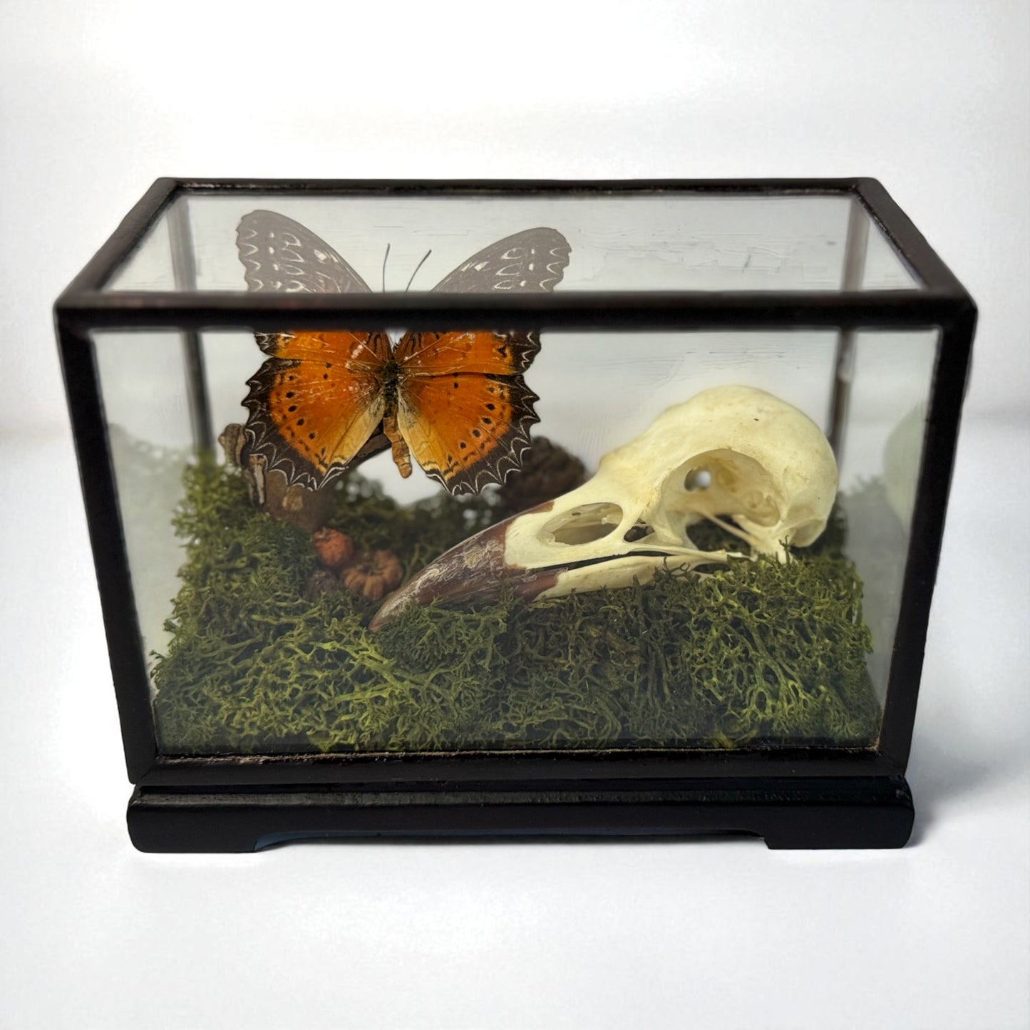 Vintage Wood & Glass Display Cases