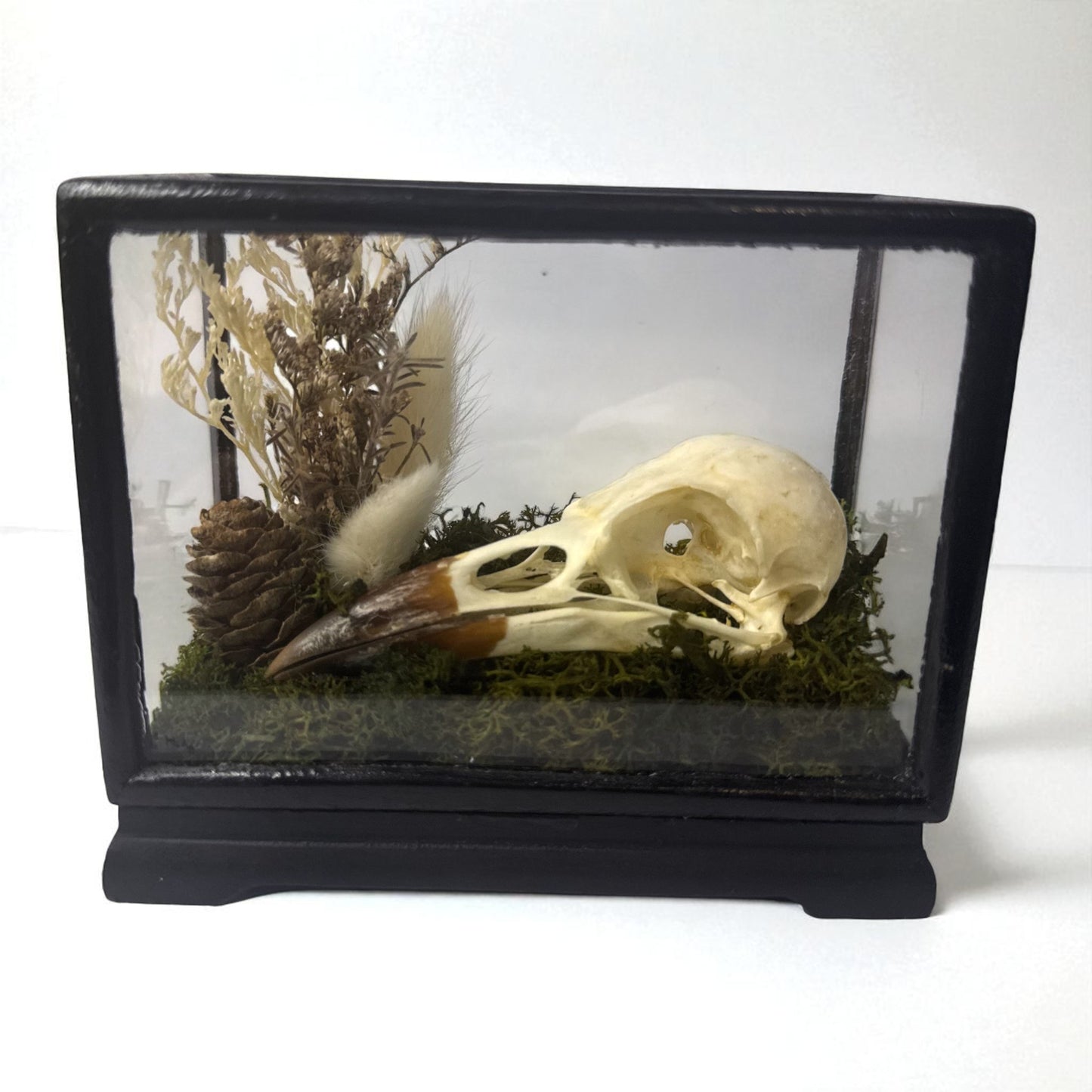 Vintage Wood & Glass Display Cases