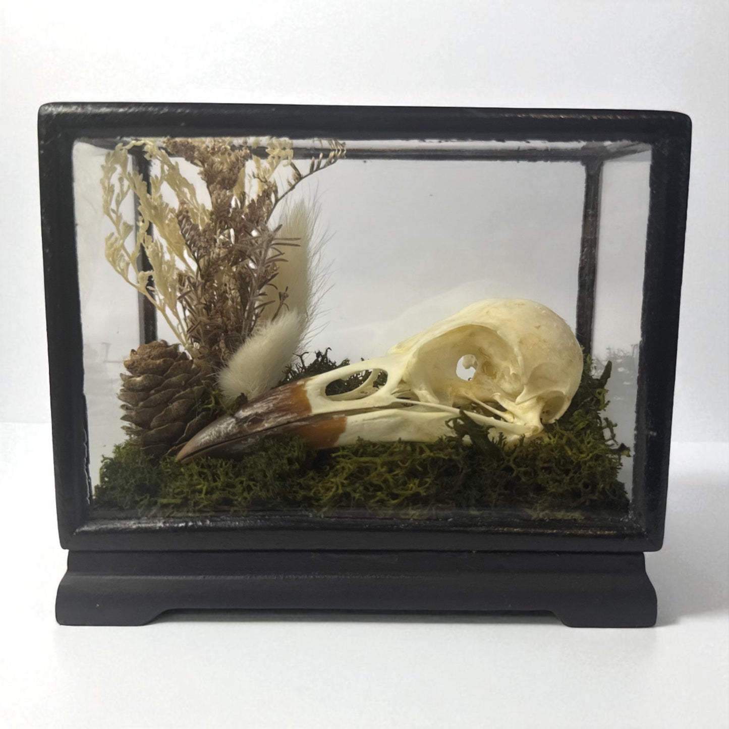 Vintage Wood & Glass Display Cases