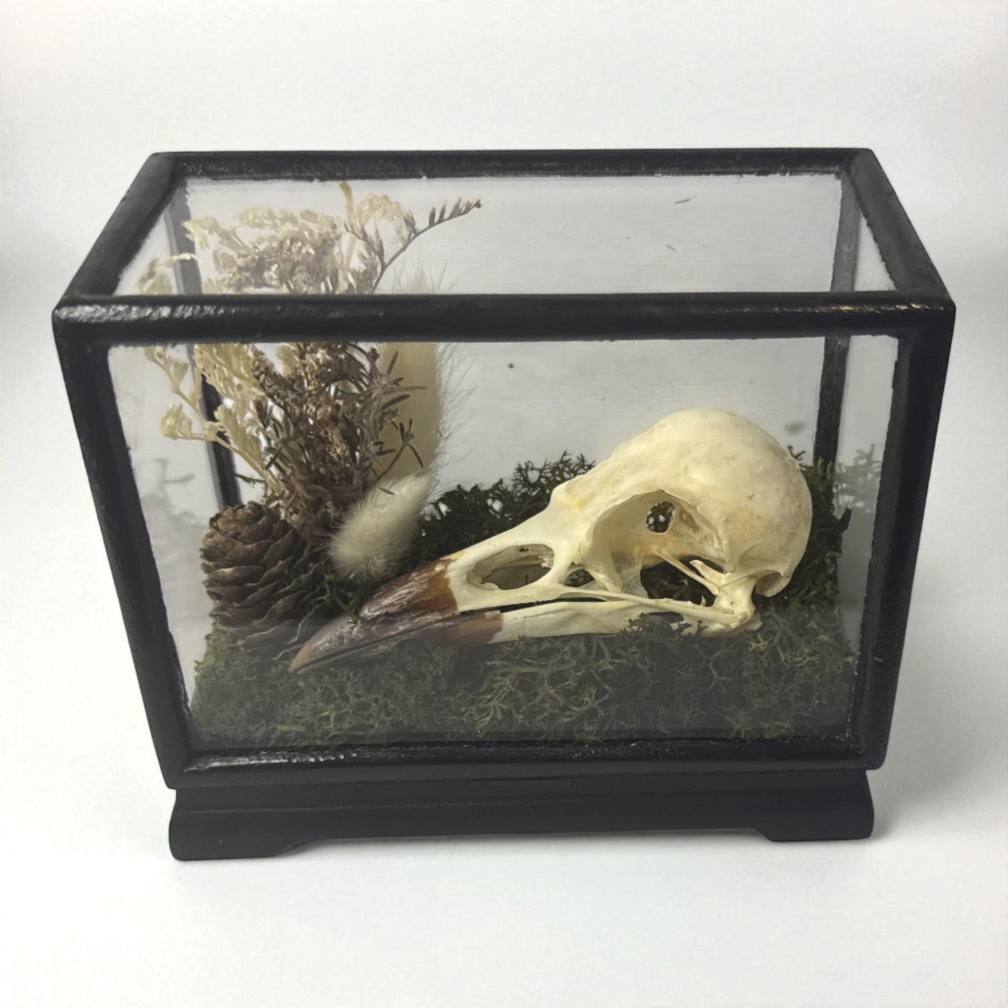 Vintage Wood & Glass Display Cases