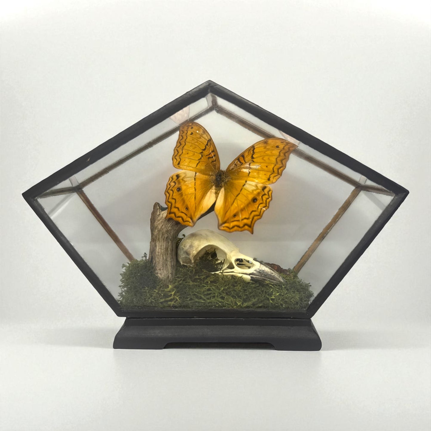 Vintage Wood & Glass Display Cases