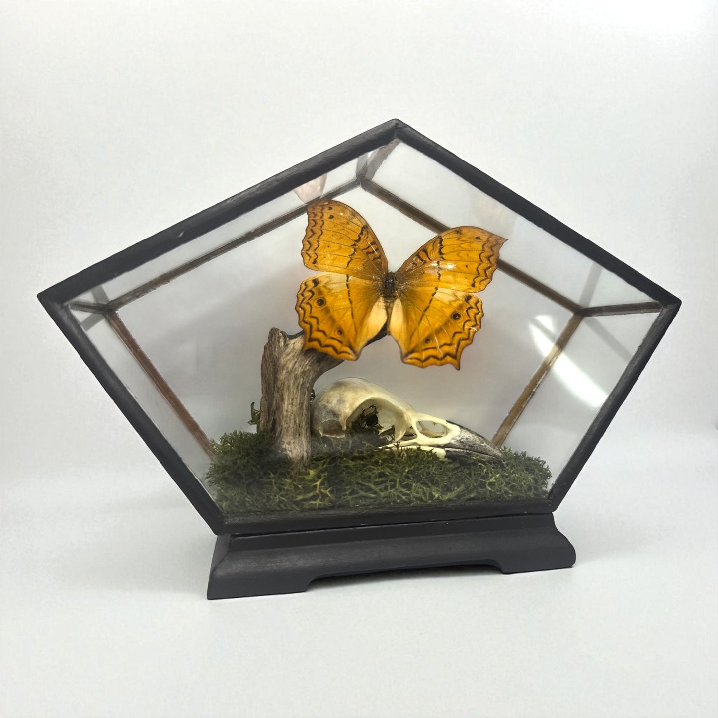 Vintage Wood & Glass Display Cases