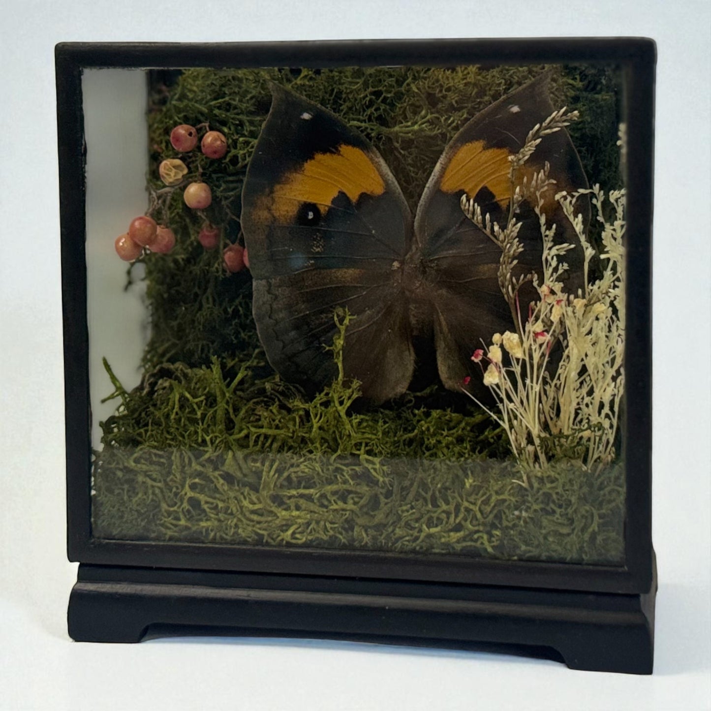 Vintage Wood & Glass Display Cases