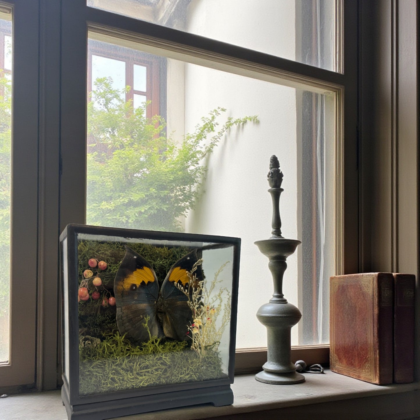 Vintage Wood & Glass Display Cases