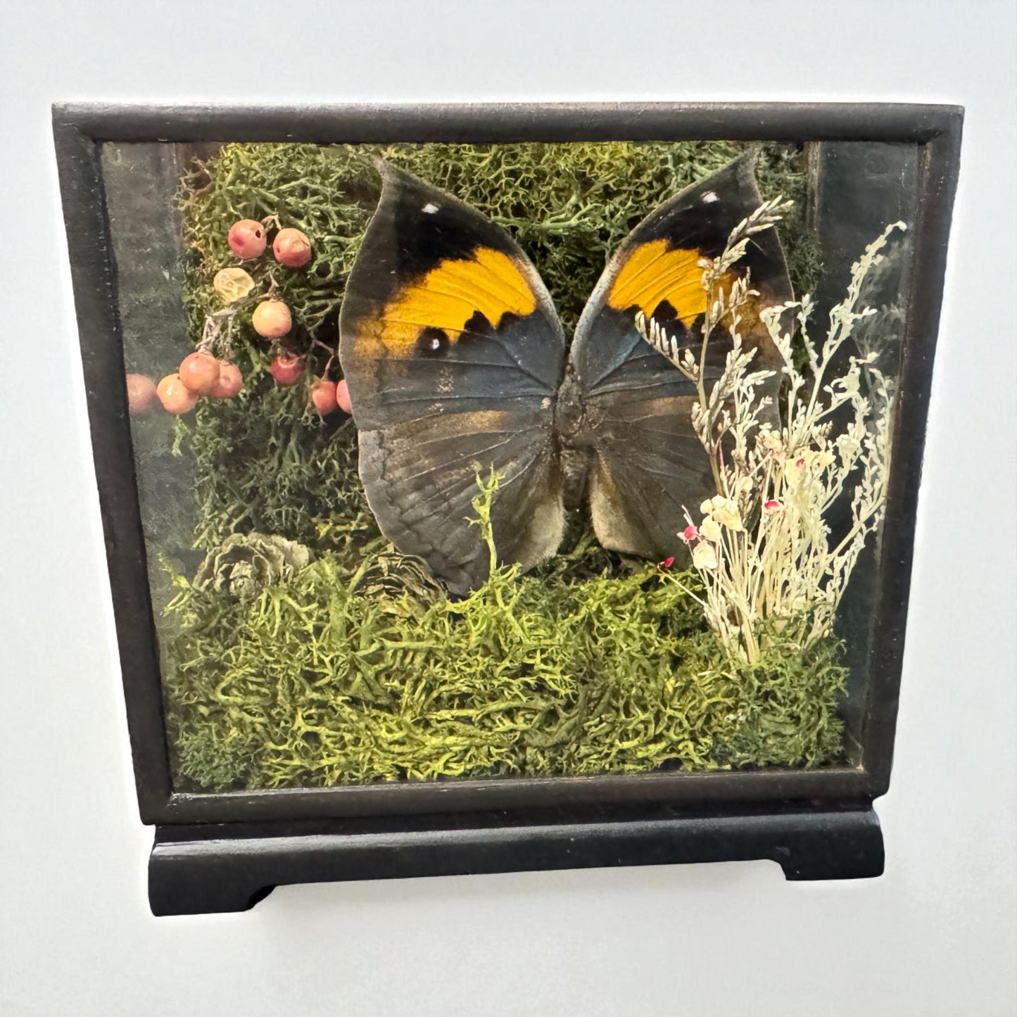 Vintage Wood & Glass Display Cases