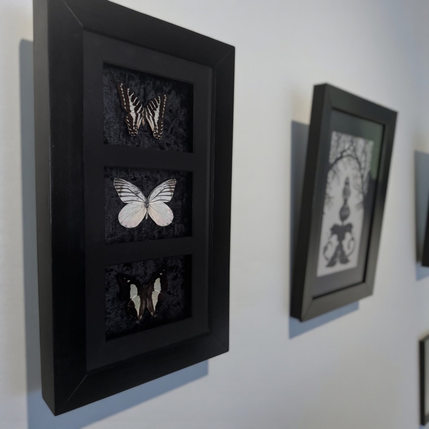 Framed Pieces