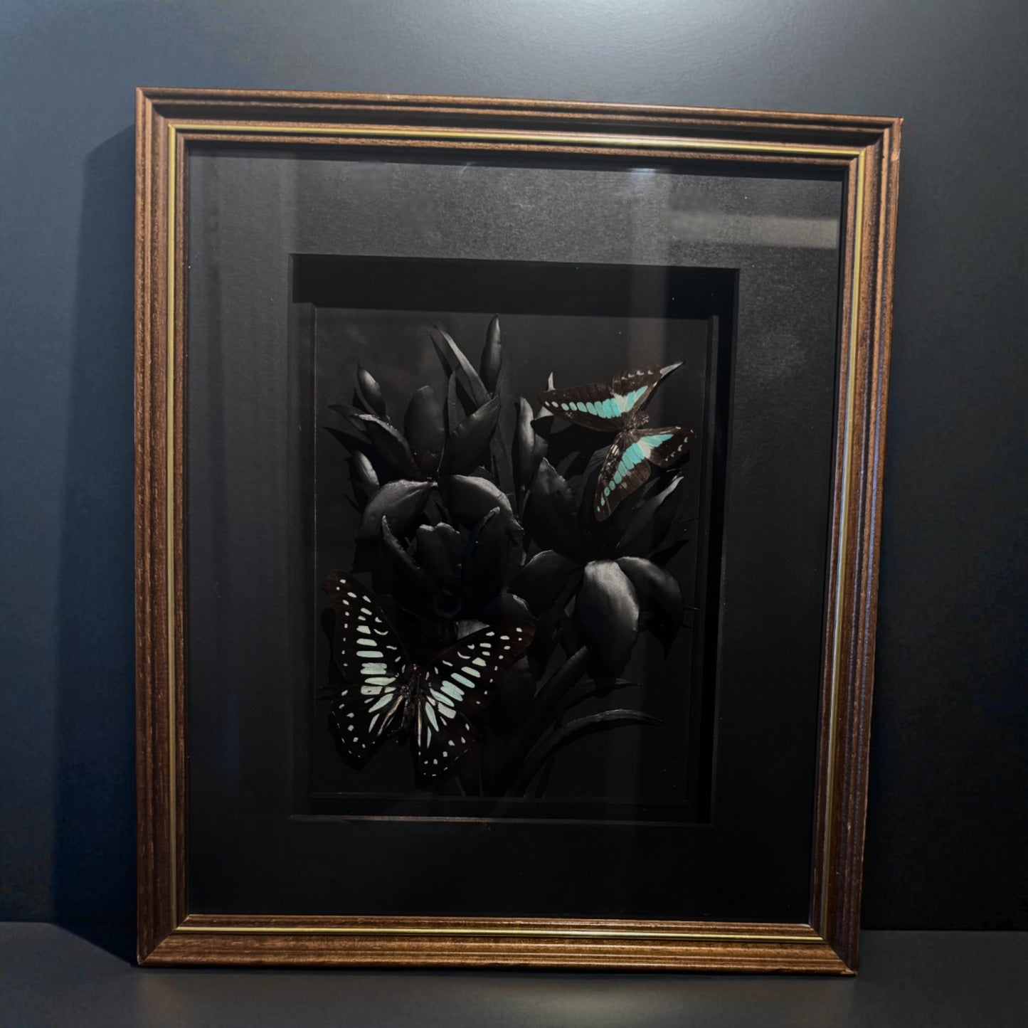 Framed Pieces