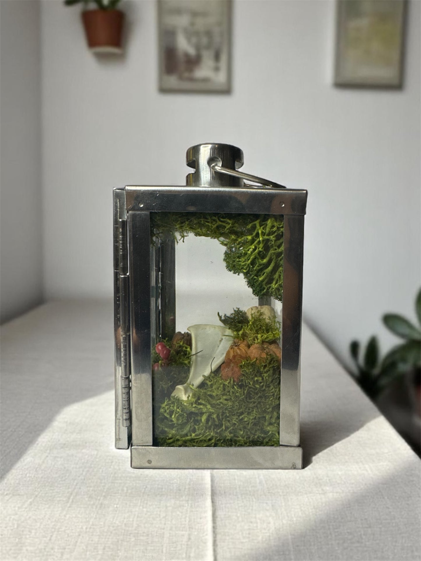 Mini Bone Lantern
