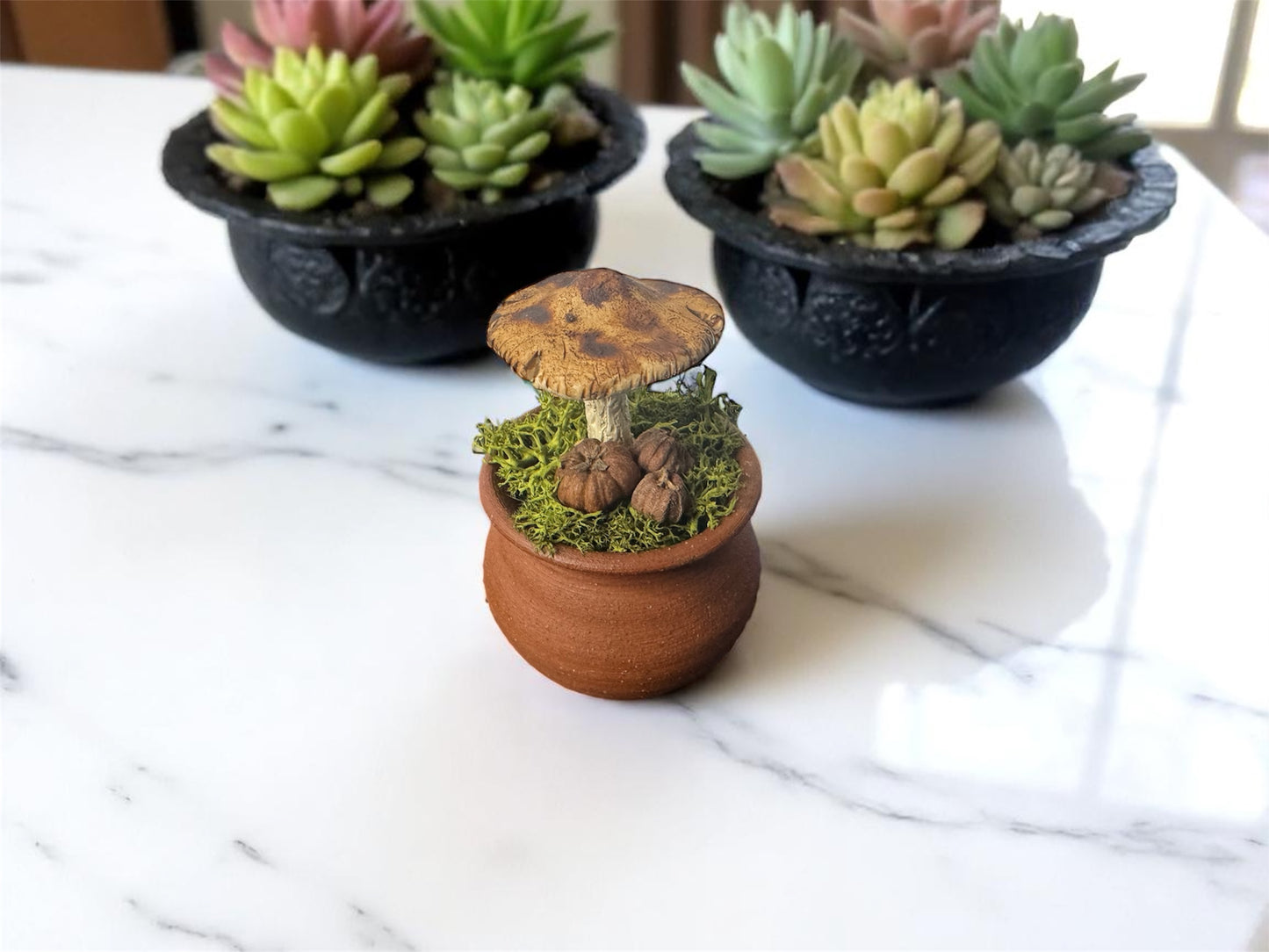 Round Shroom Pots