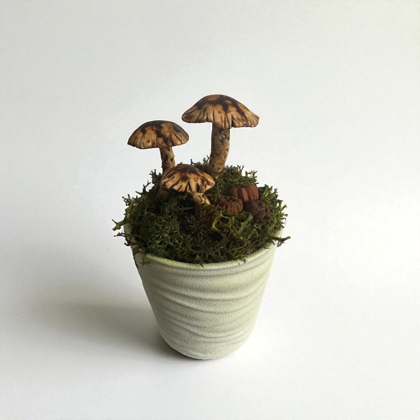 Three Shroom Pot