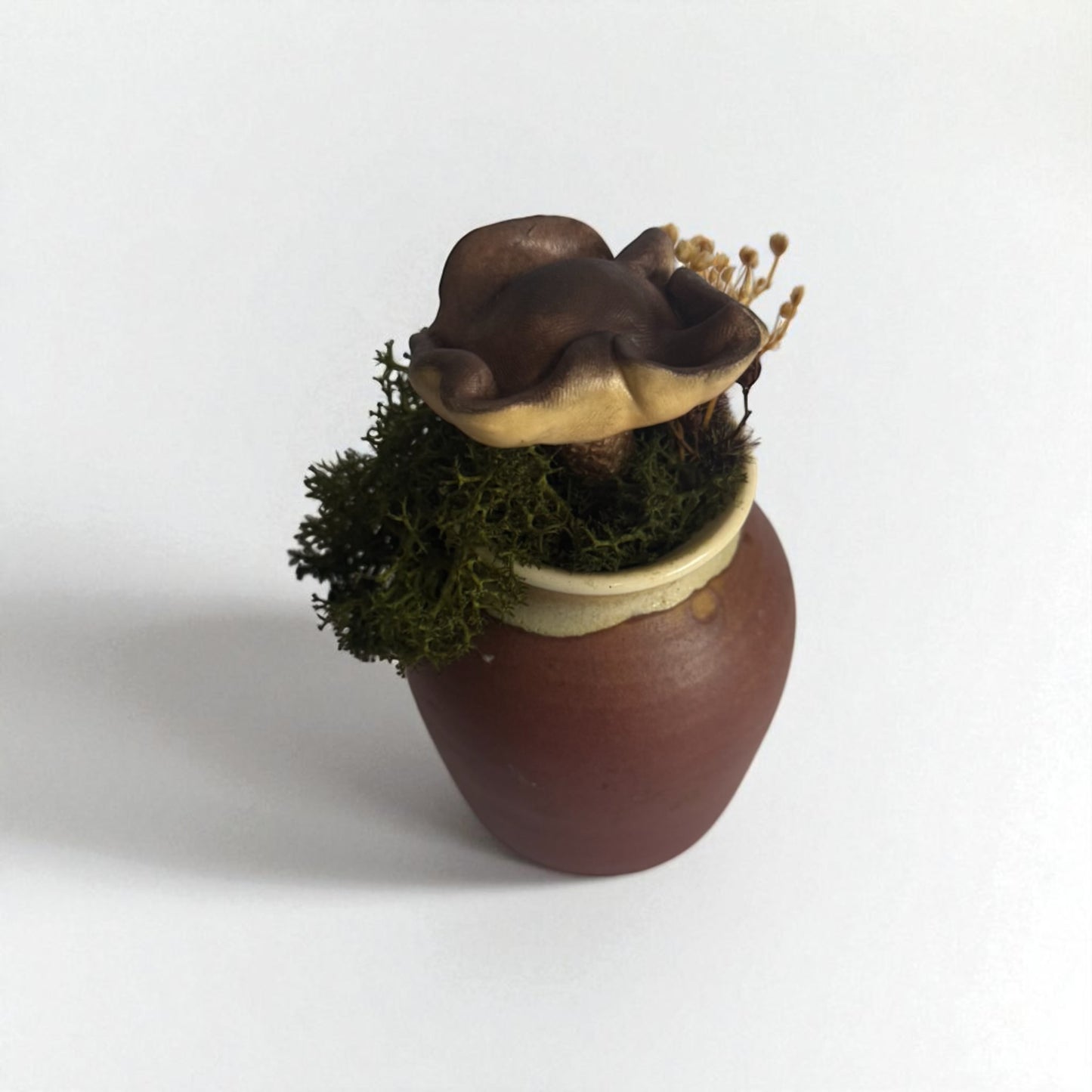 Single Shroom Pot