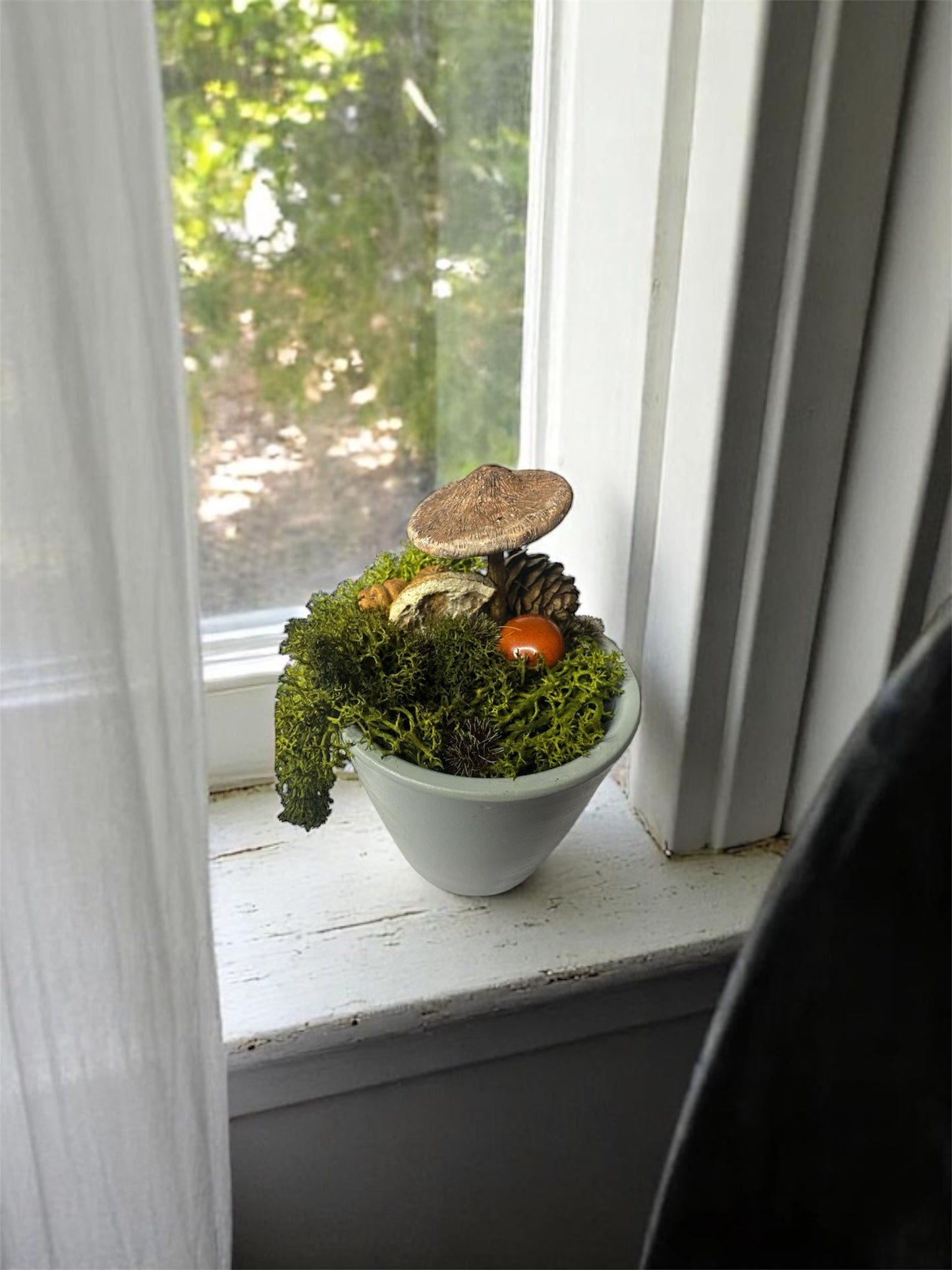 Textured Top Shroom Pot