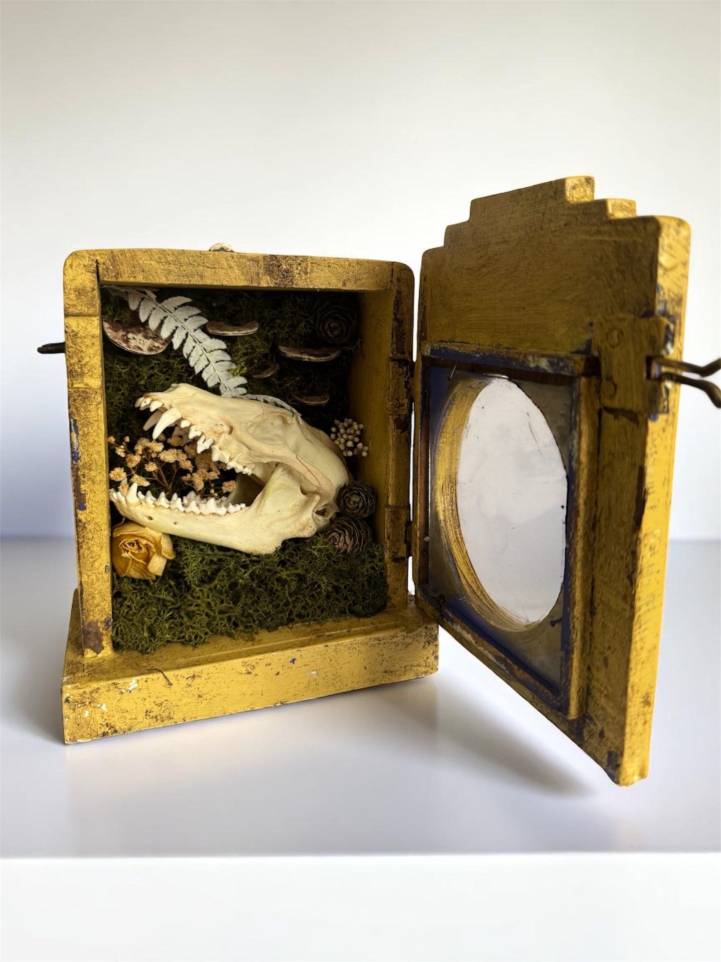Antique Clock Case - Hidden World