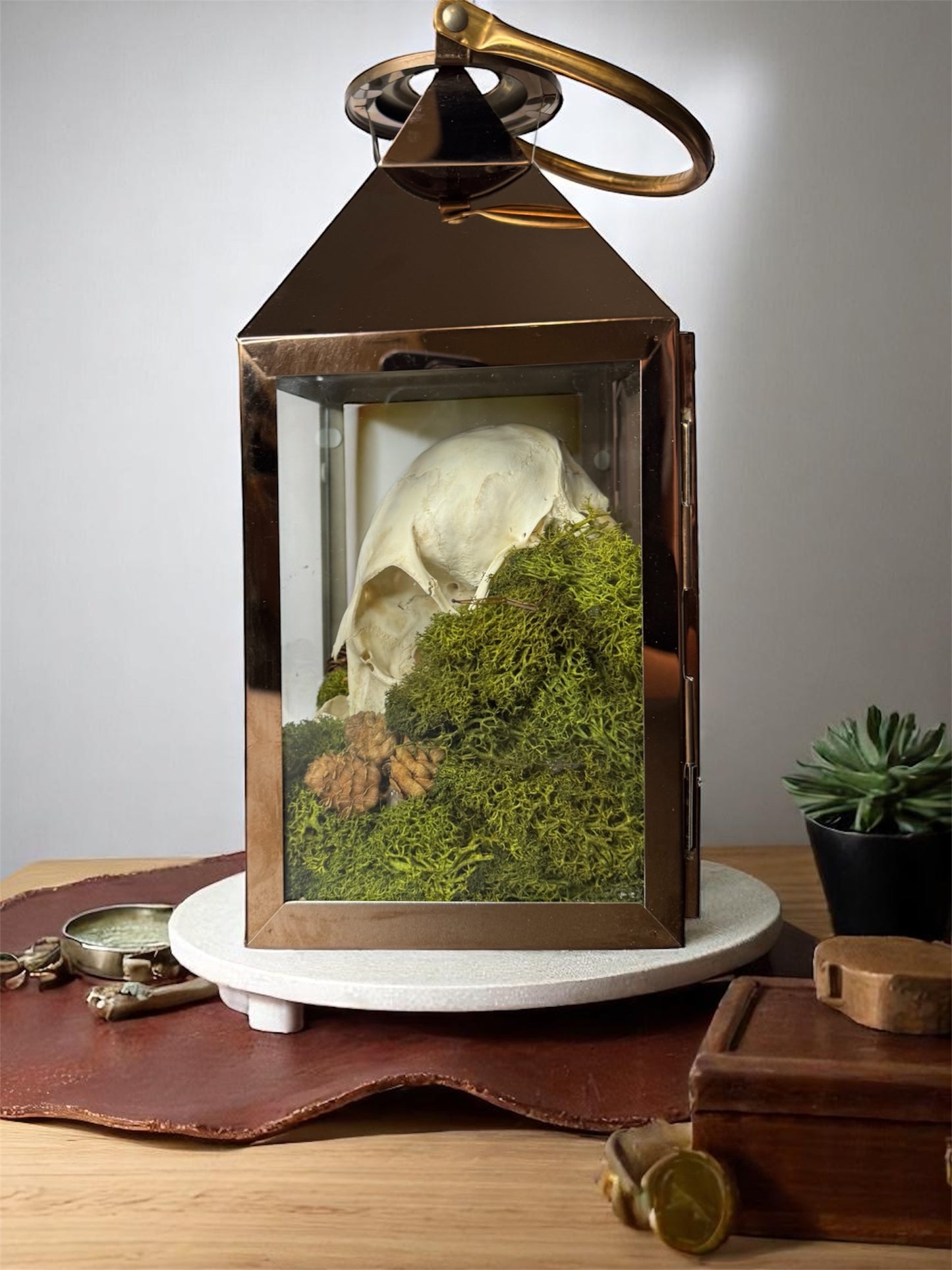 Copper Sheep Skull Lantern