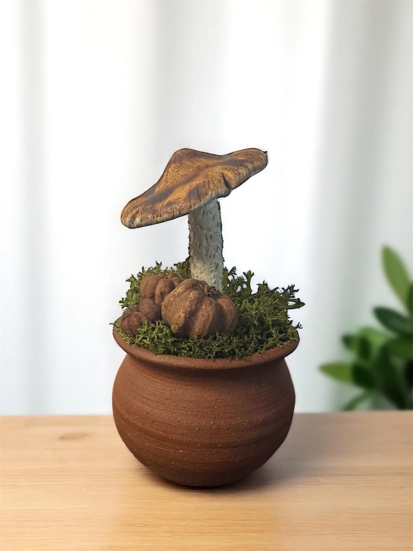 Round Shroom Pots